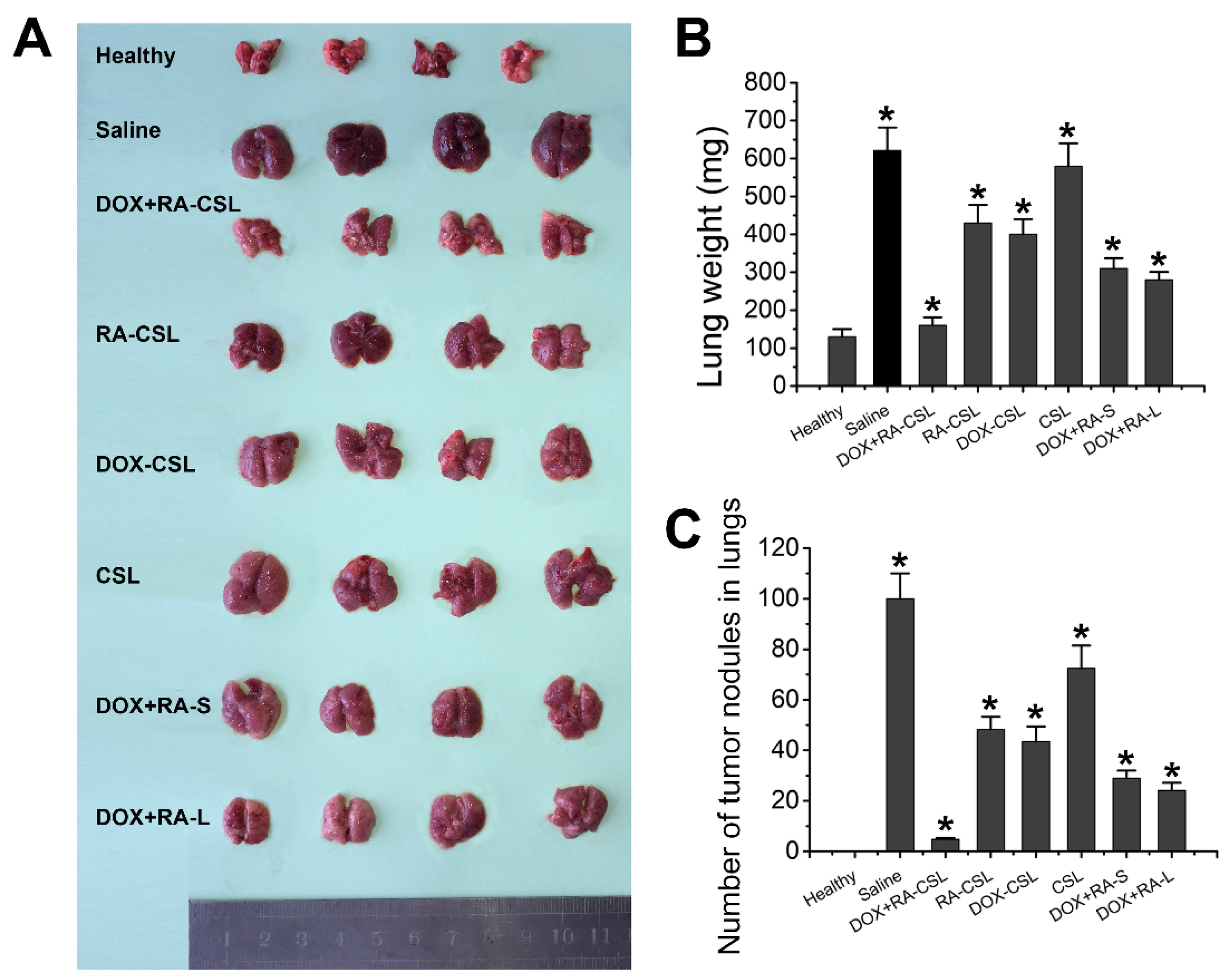 Pharmaceutics 13 00406 g003