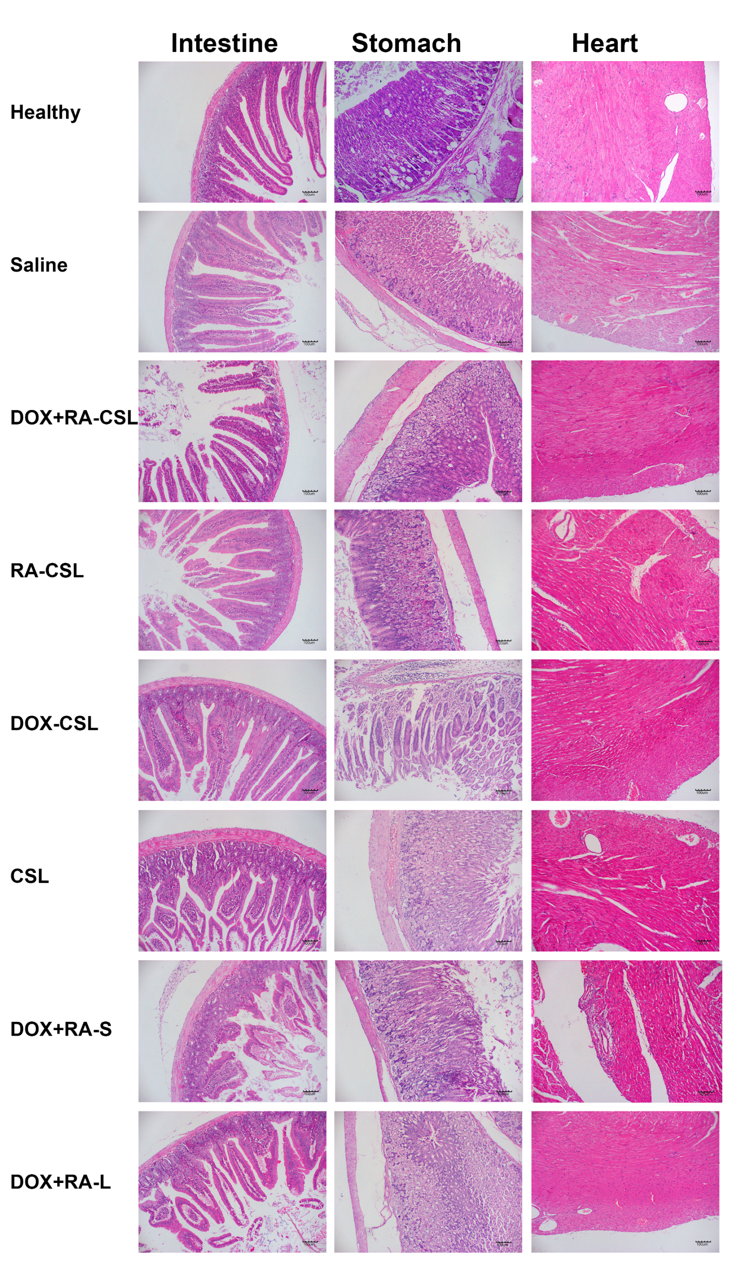 Pharmaceutics 13 00406 g006