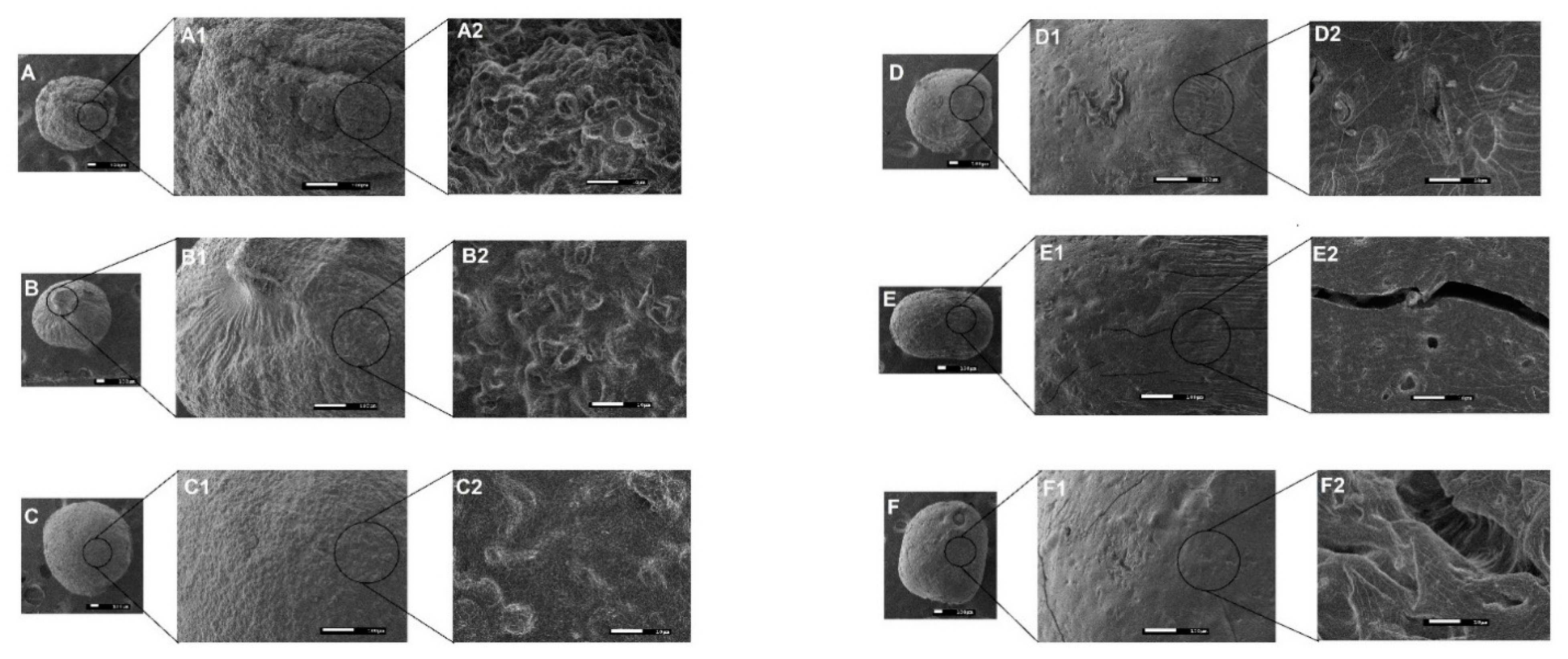 Pharmaceutics 13 00407 g001