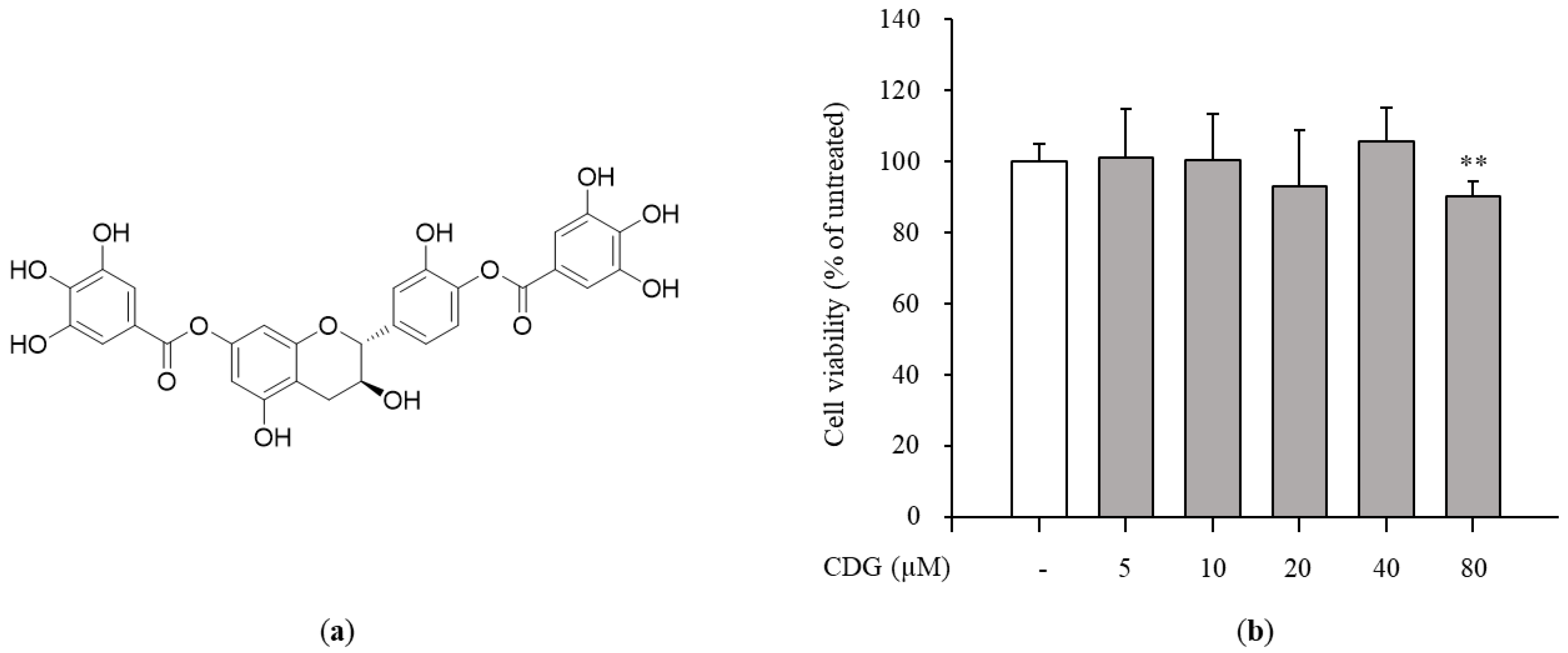 Pharmaceutics 13 00408 g001