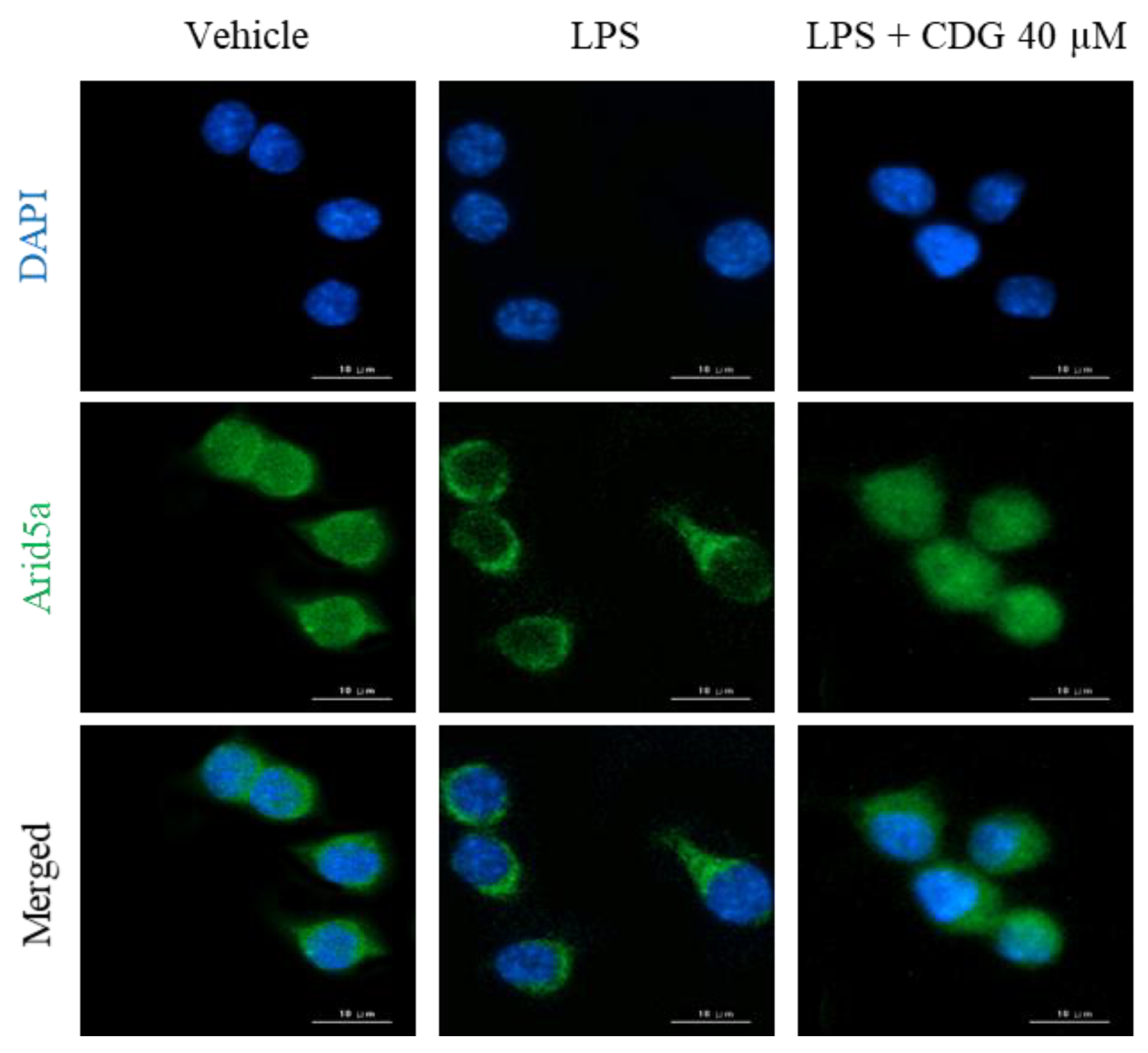 Pharmaceutics 13 00408 g006