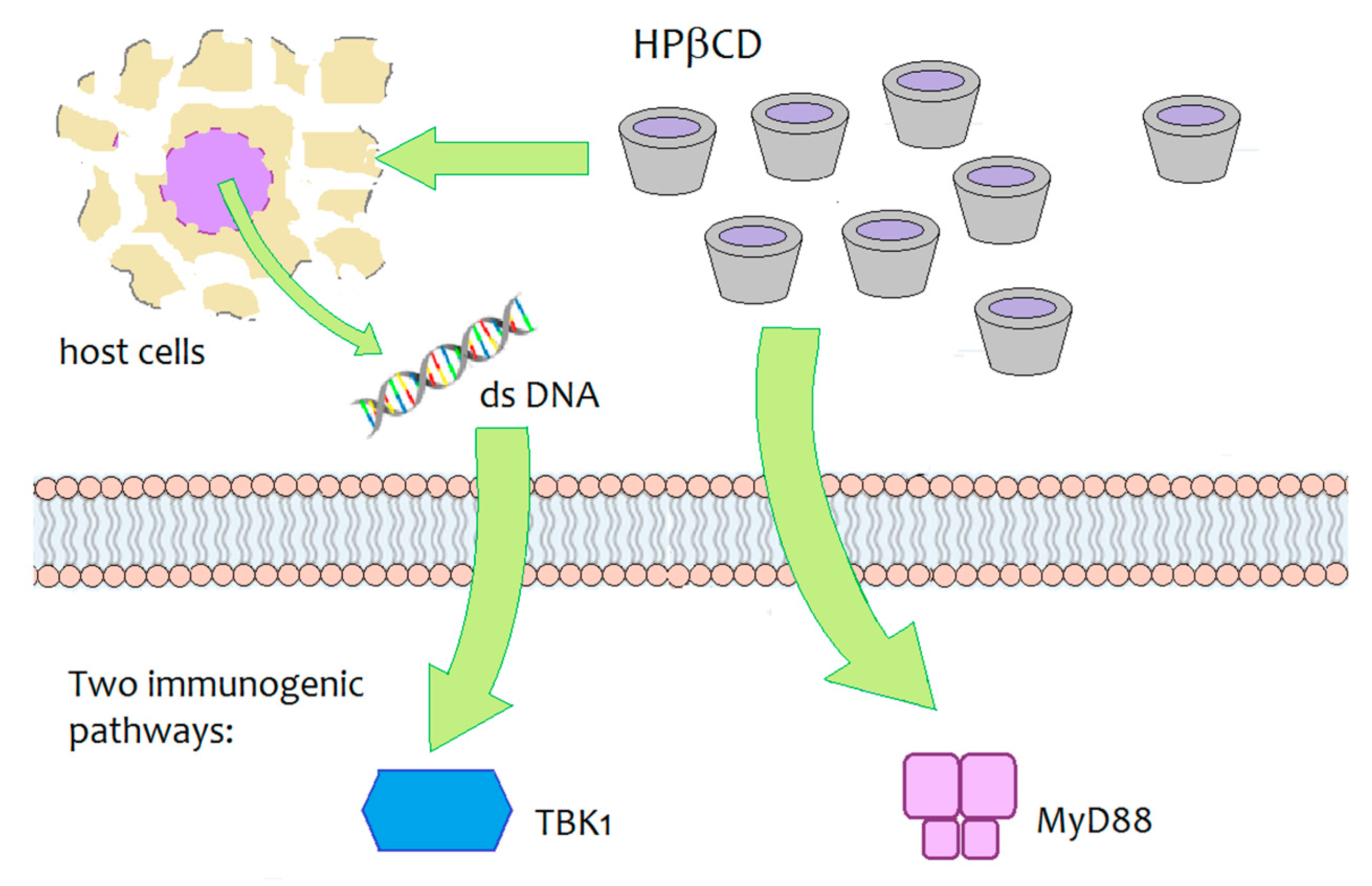 Pharmaceutics 13 00409 g007 Pharmaceutics 13 00409 g007