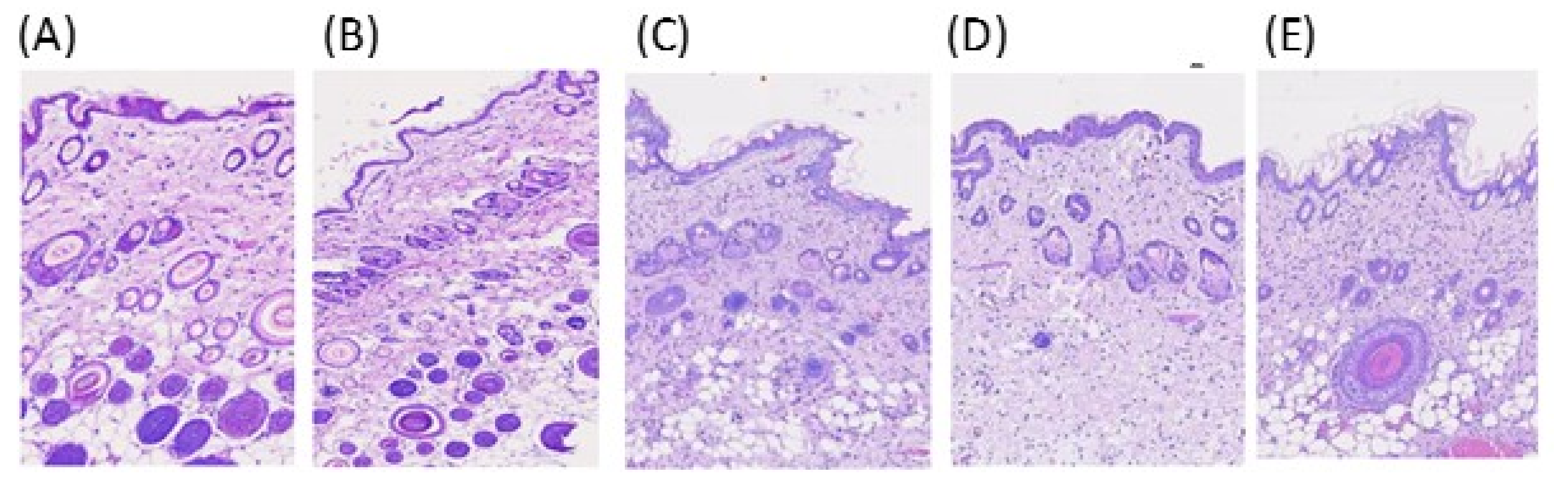 Pharmaceutics 13 00410 g003