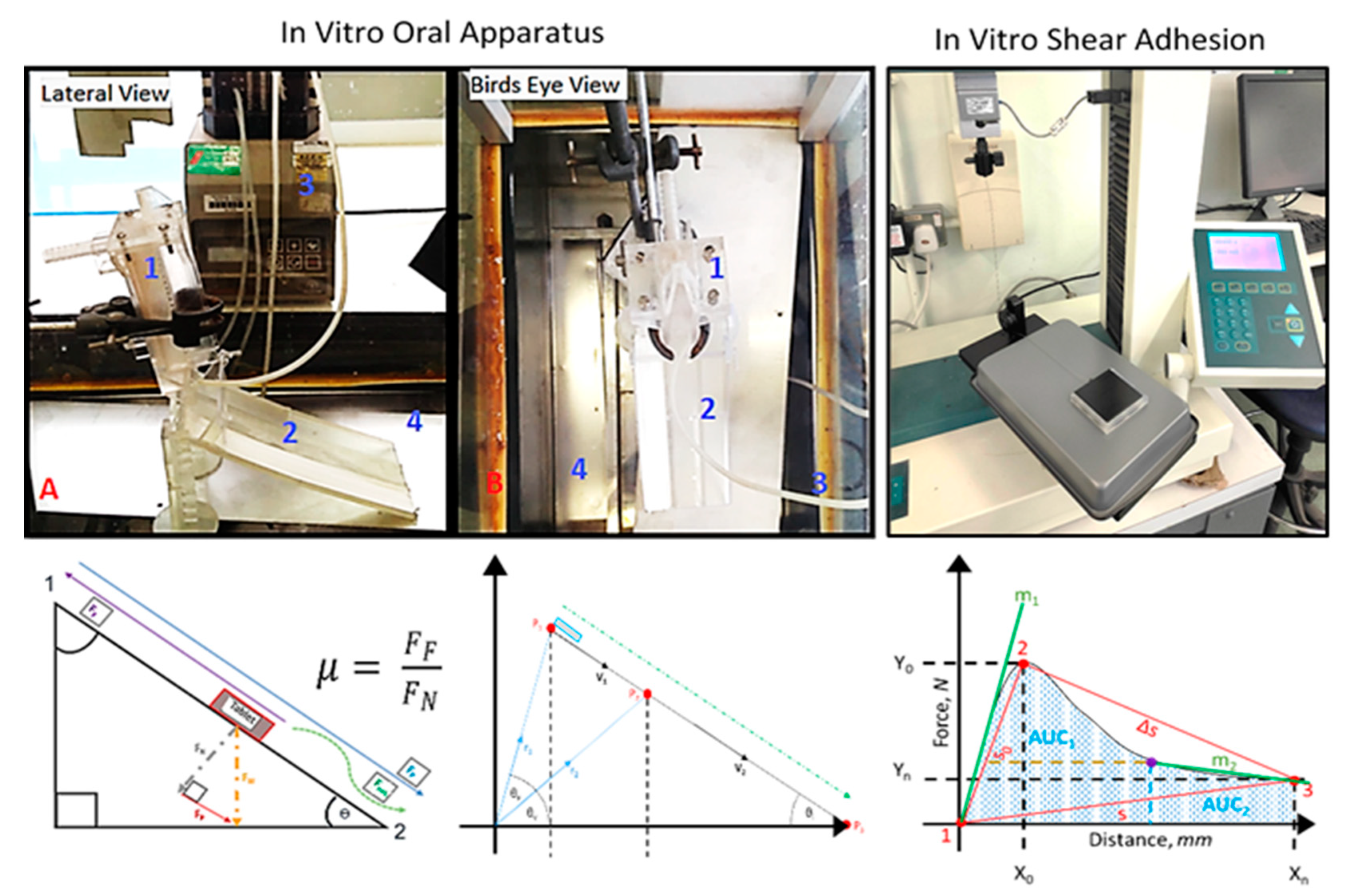 Pharmaceutics 13 00411 g001