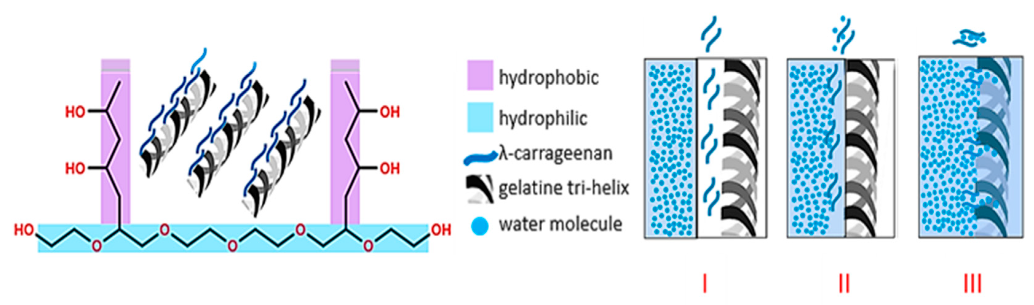 Pharmaceutics 13 00411 g0a1
