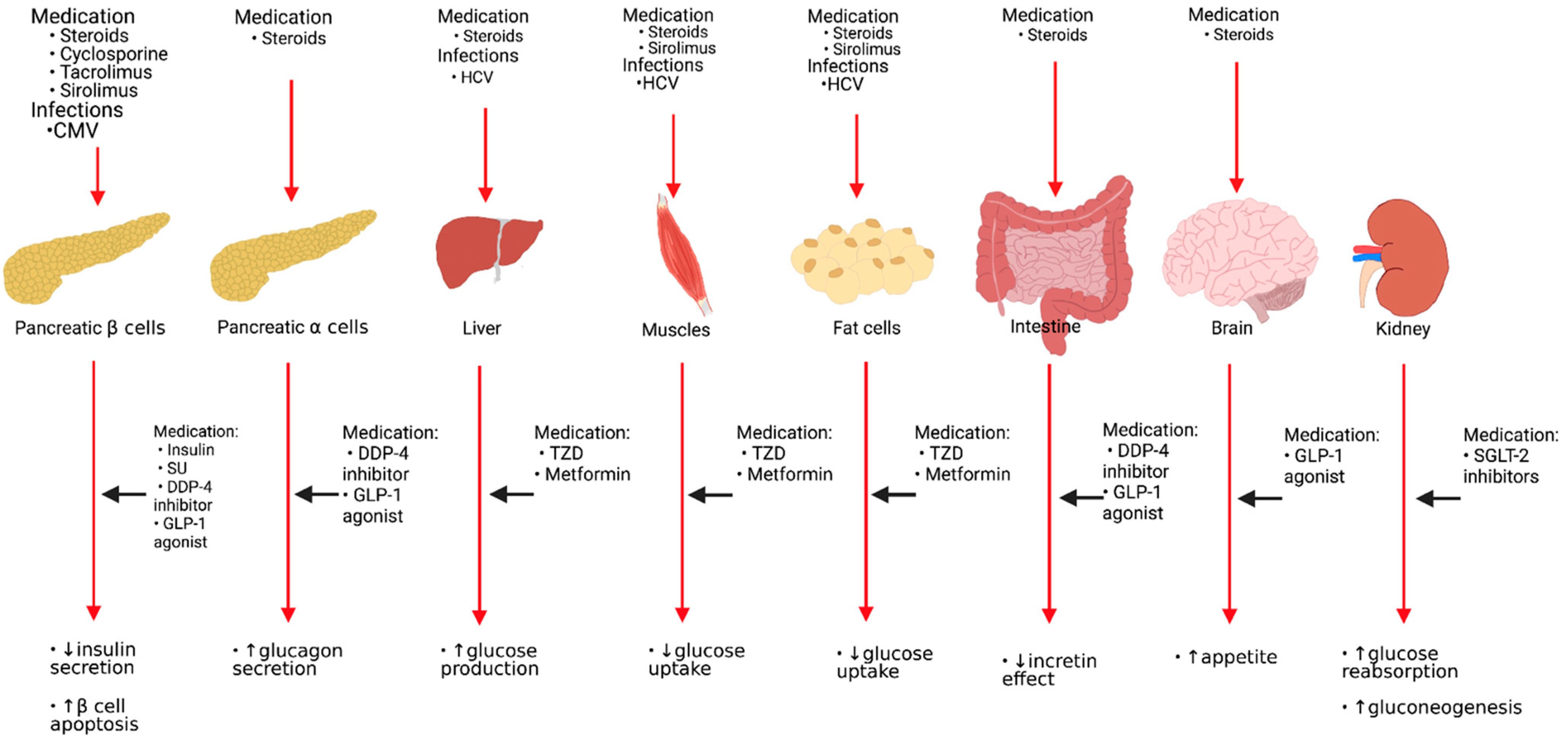 Pharmaceutics 13 00413 g001