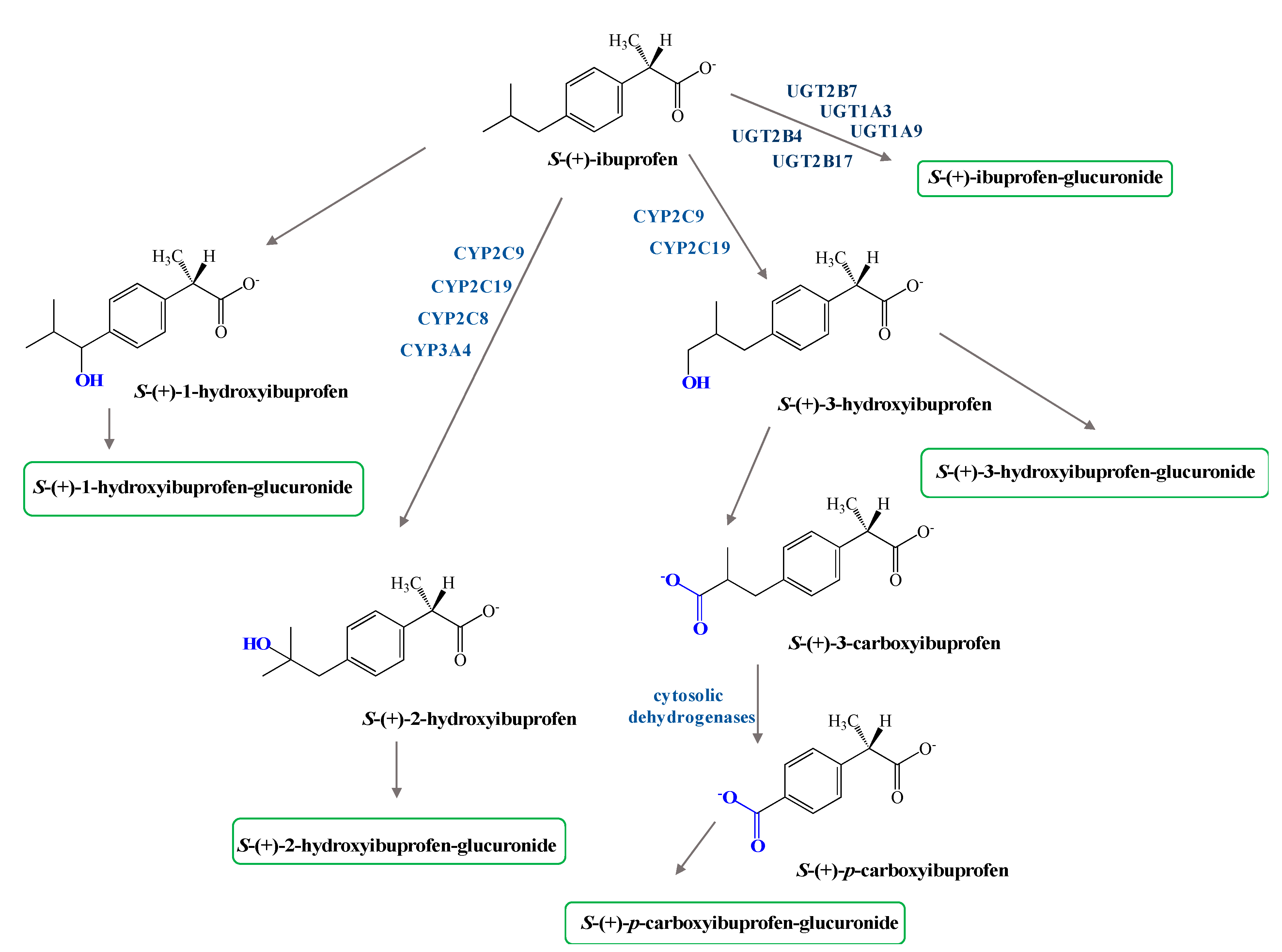 Pharmaceutics 13 00414 g002