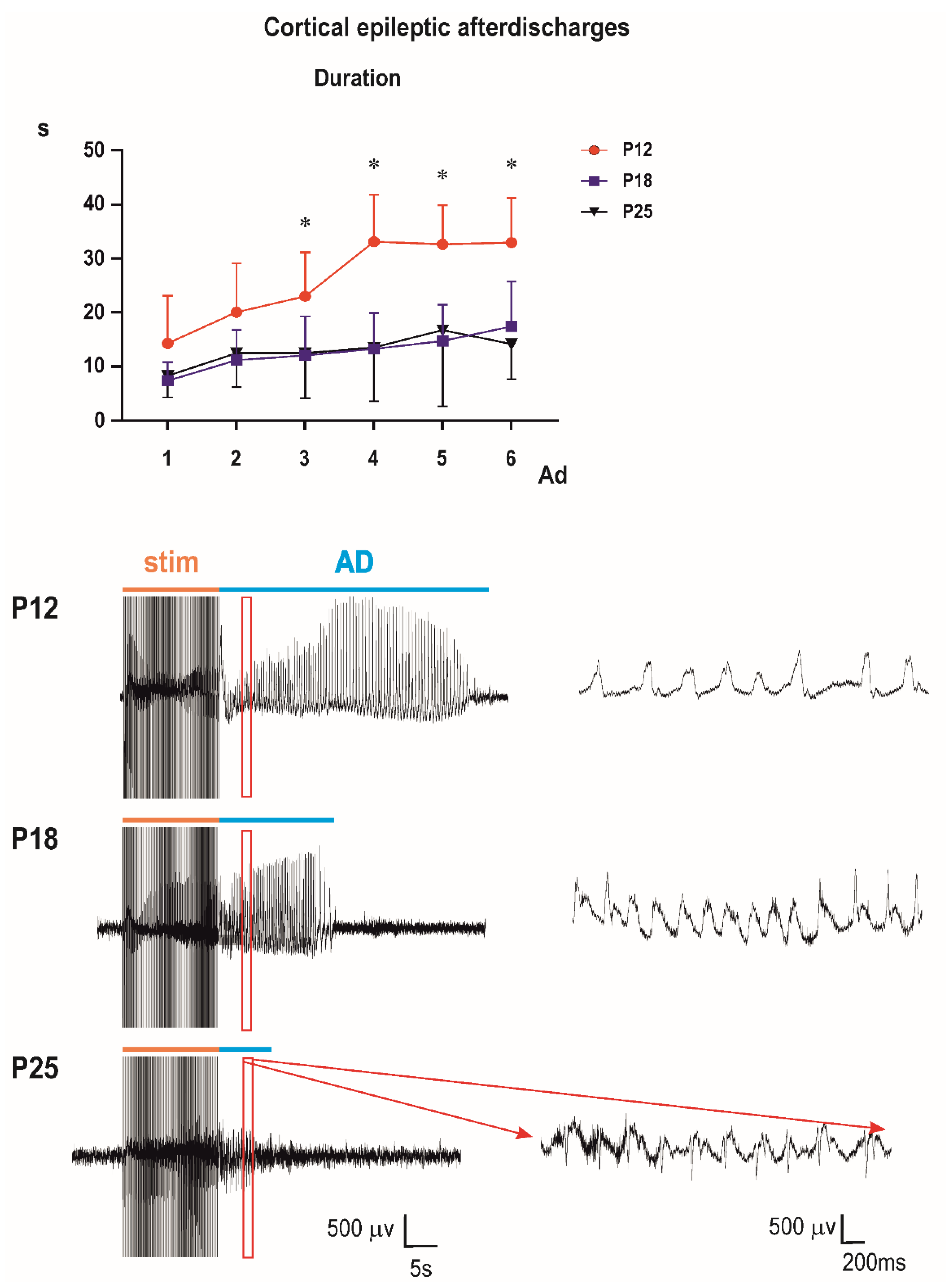 Pharmaceutics 13 00415 g004 Pharmaceutics 13 00415 g004