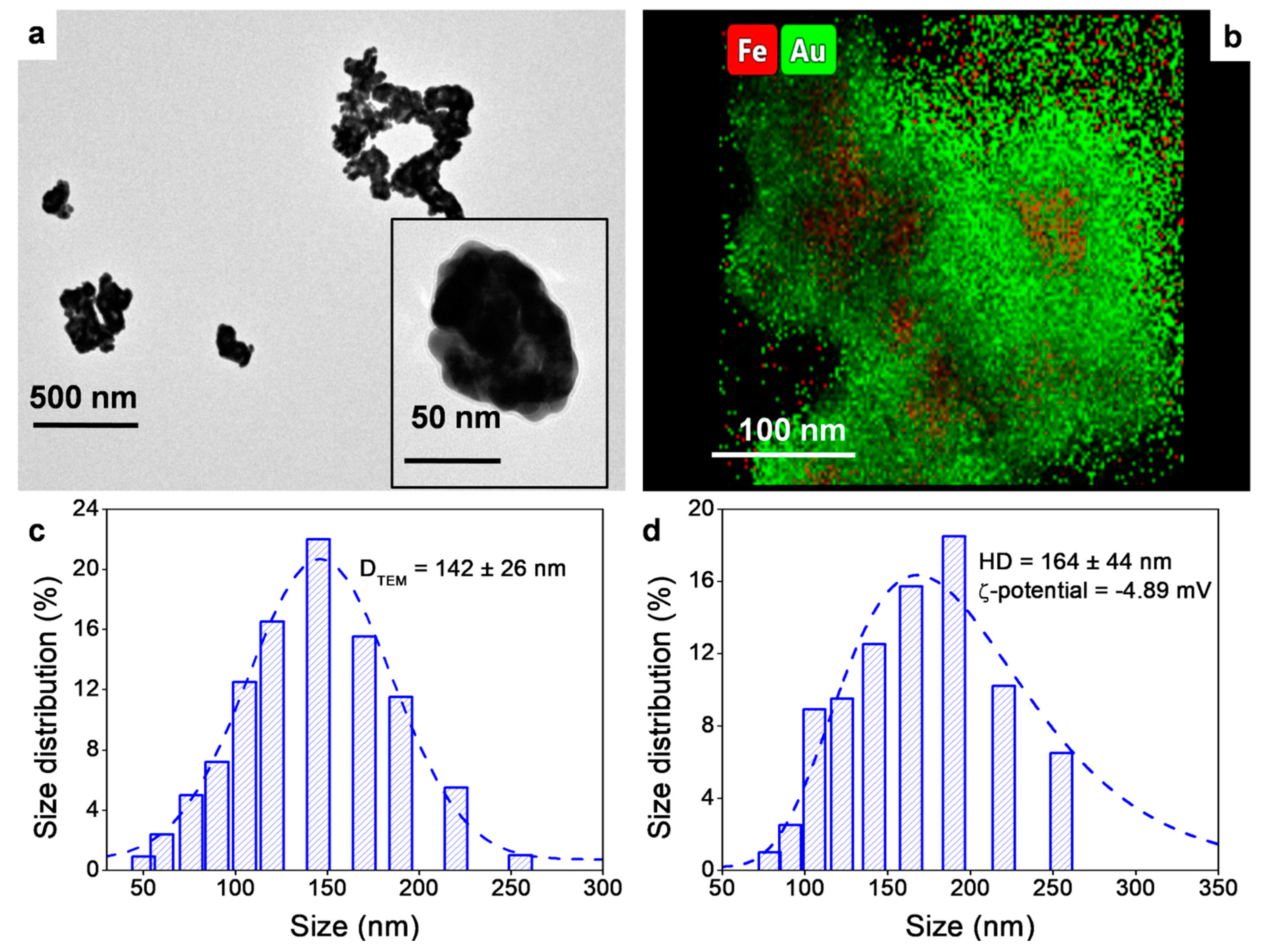 Pharmaceutics 13 00416 g001
