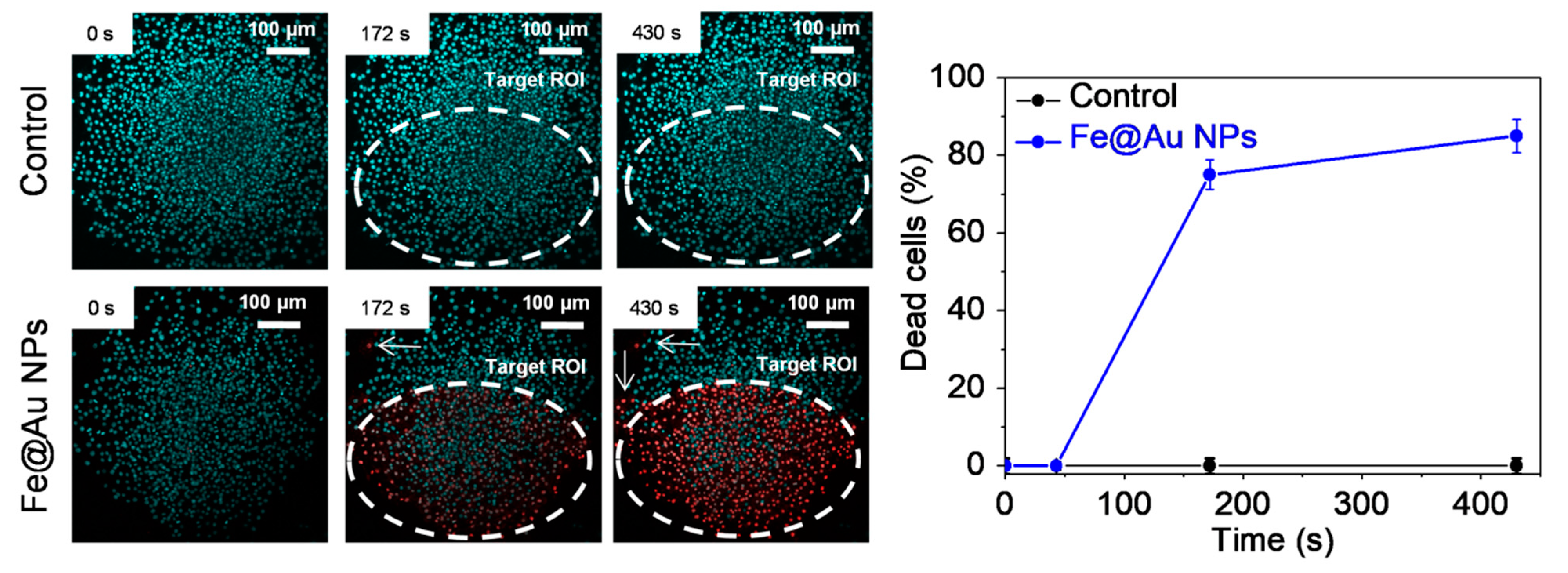 Pharmaceutics 13 00416 g004