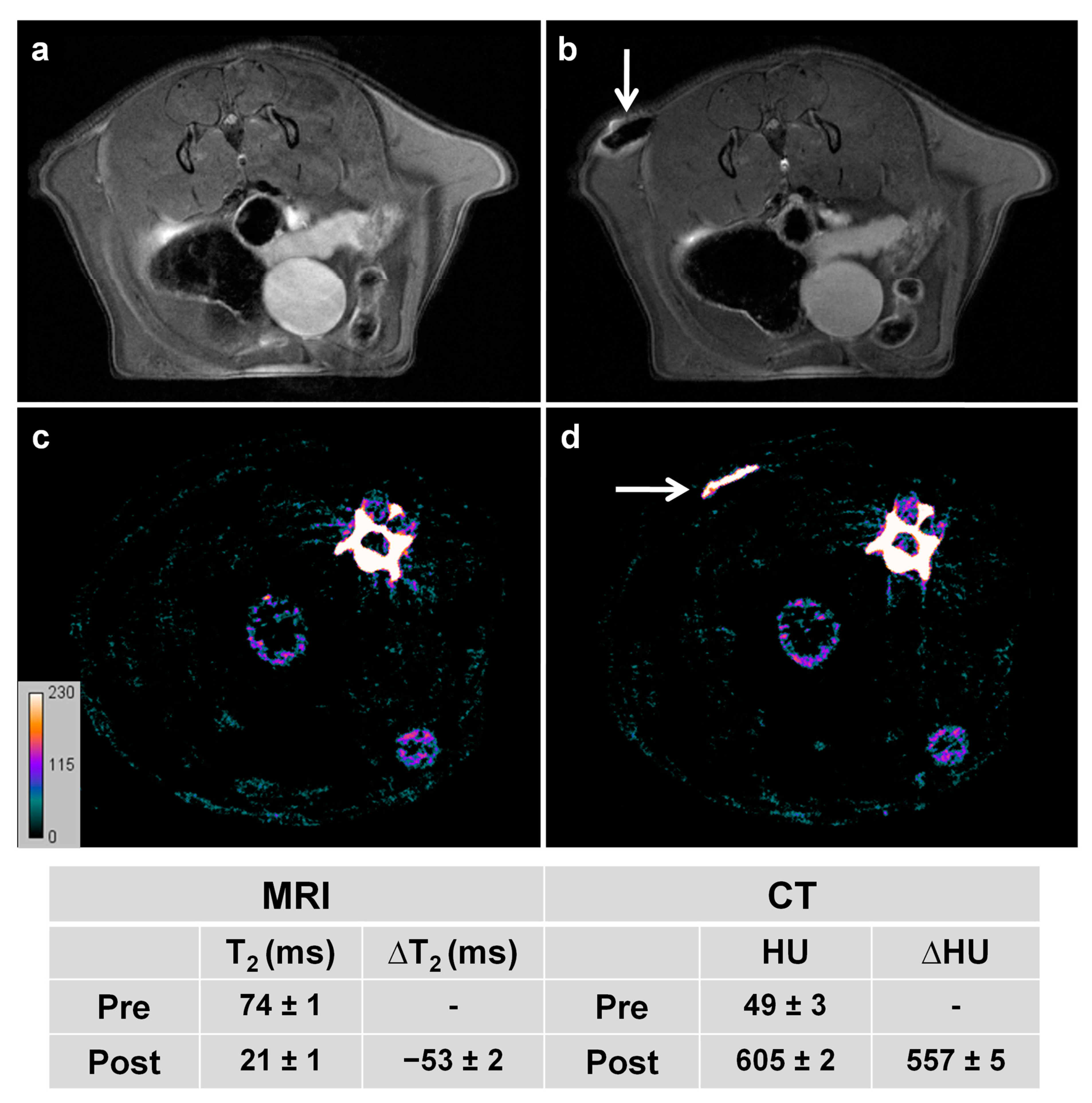Pharmaceutics 13 00416 g006