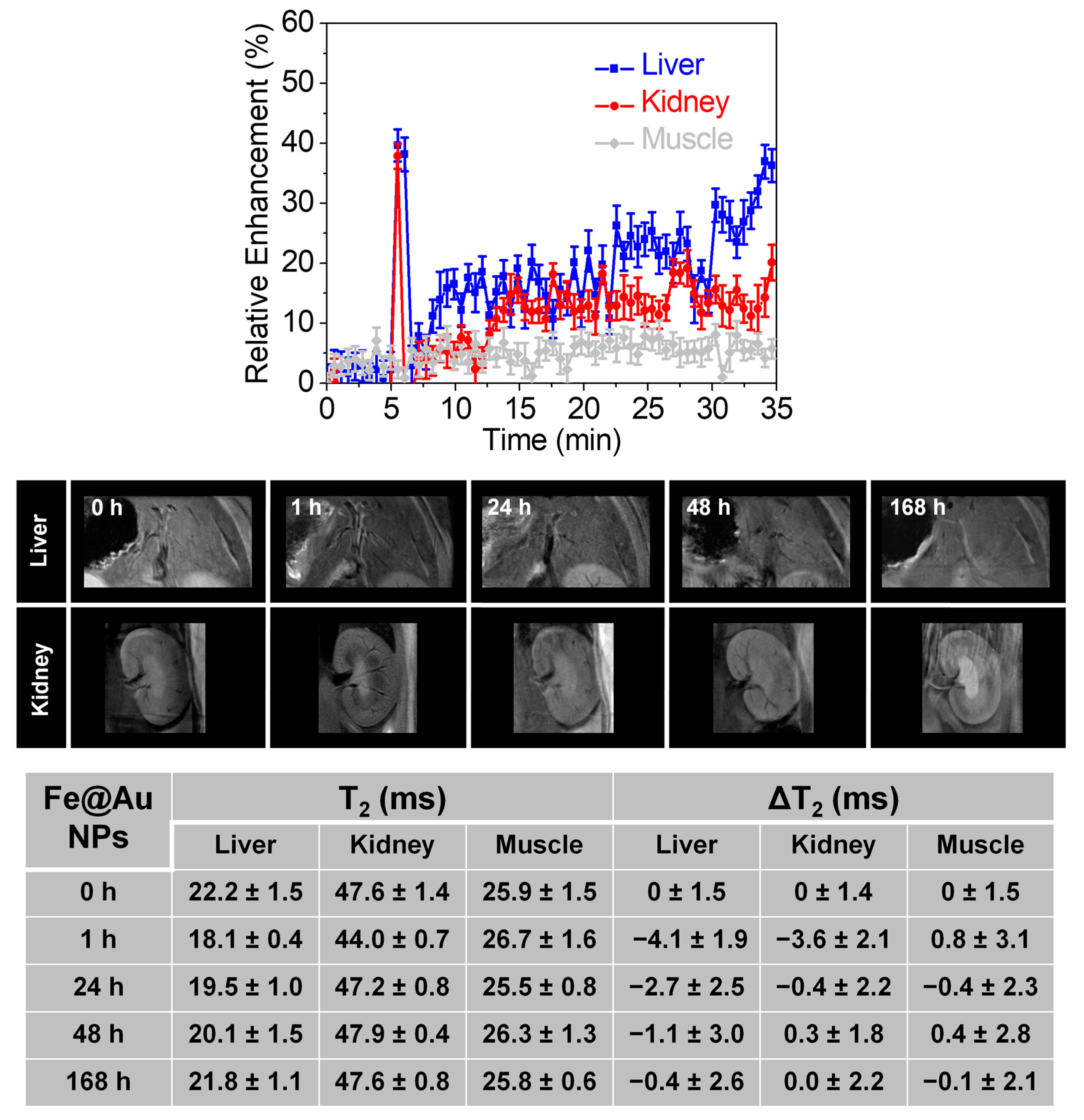 Pharmaceutics 13 00416 g007