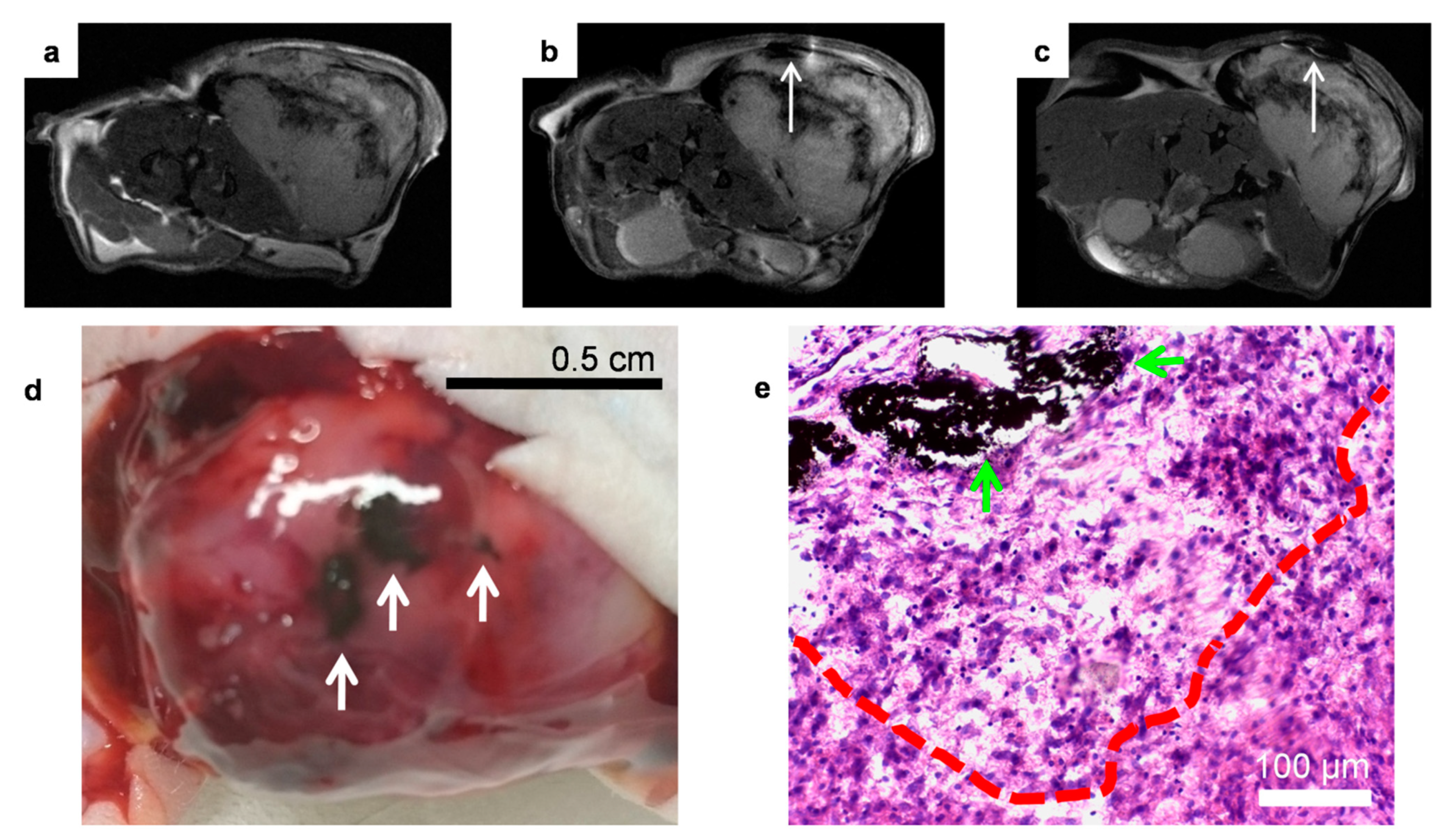 Pharmaceutics 13 00416 g008