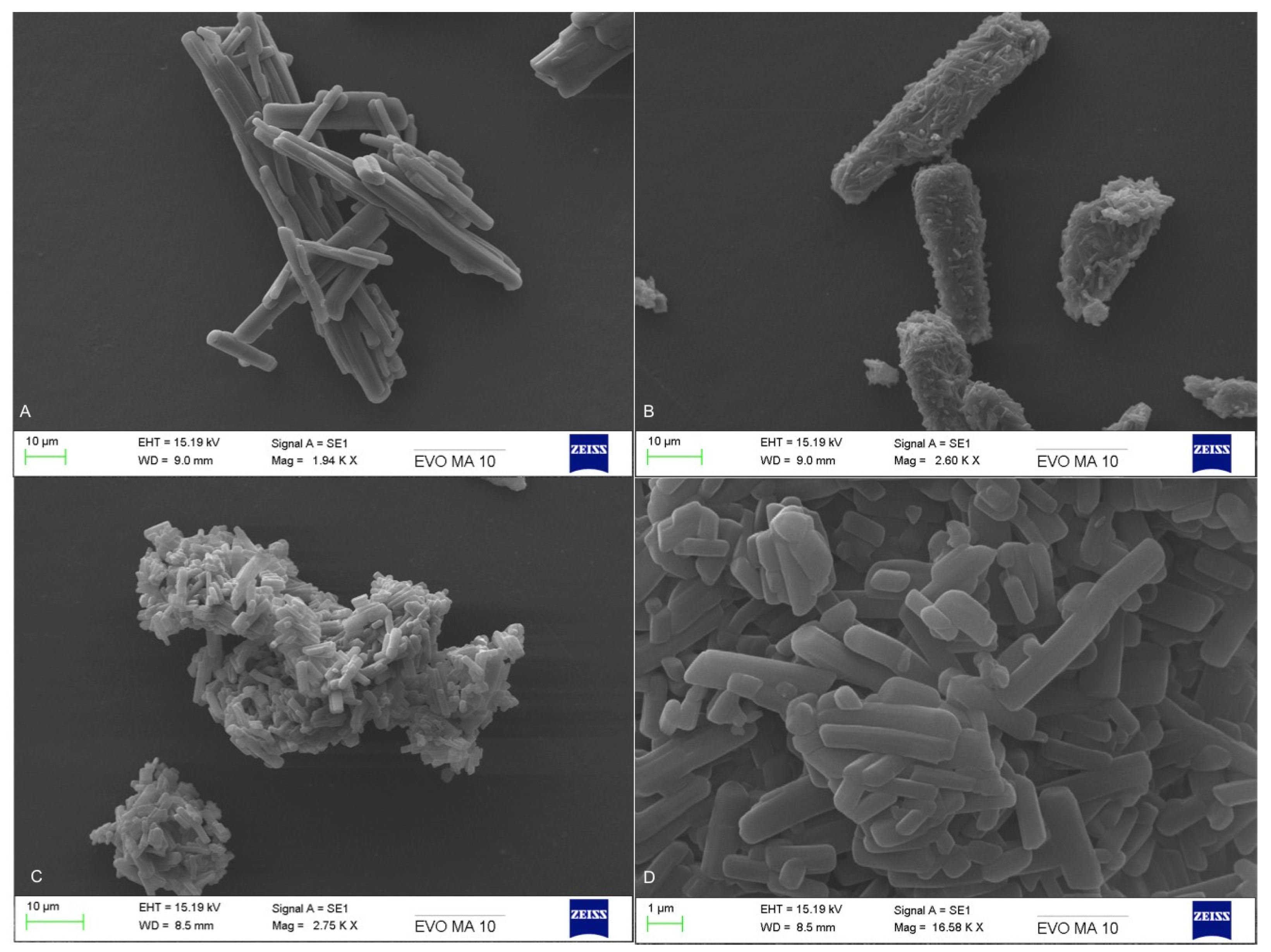 Pharmaceutics 13 00419 g002