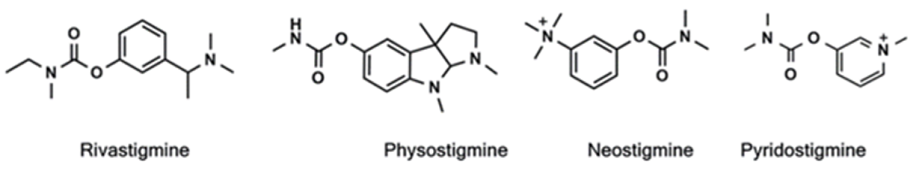 Pharmaceutics 13 00420 g001