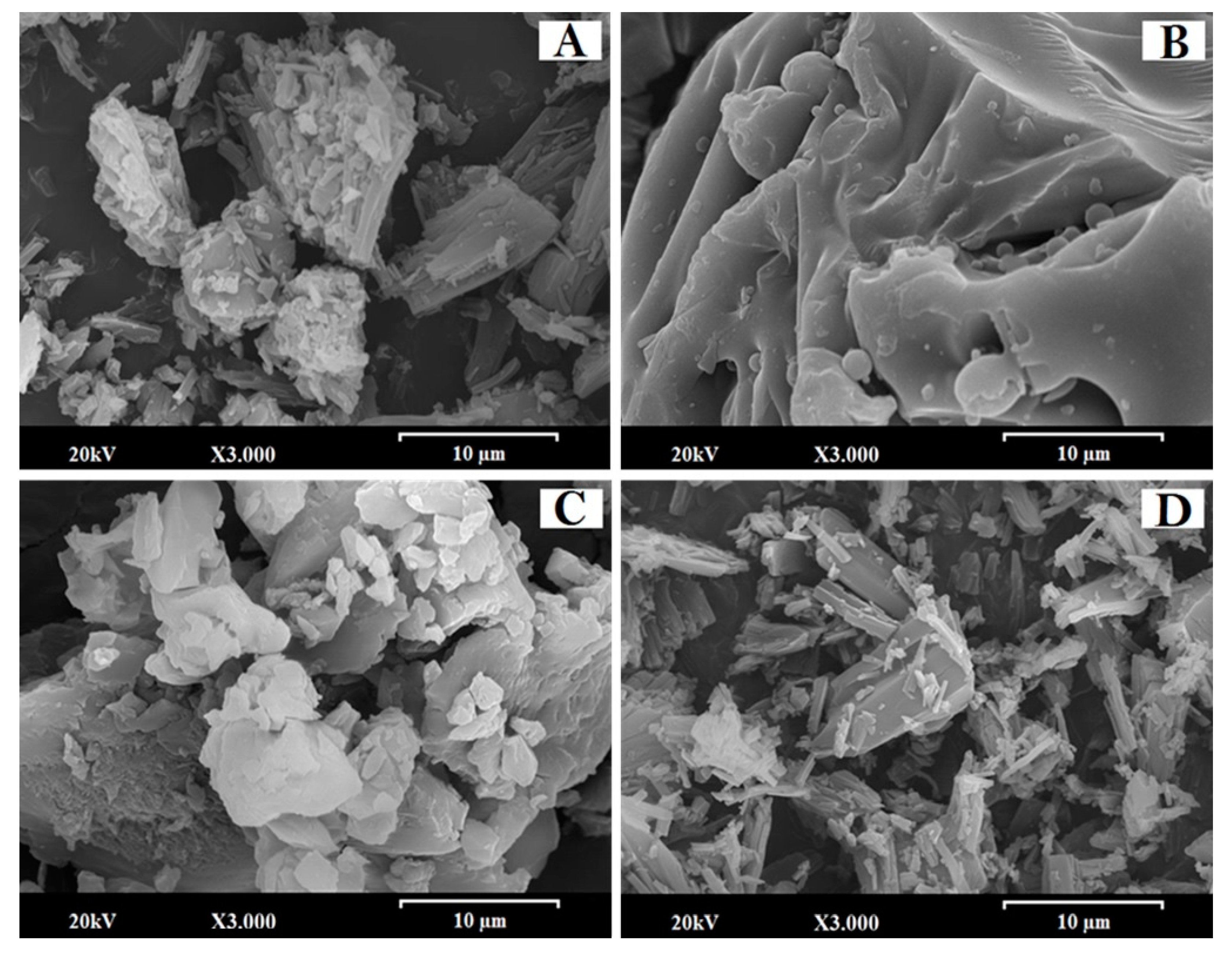 Pharmaceutics 13 00421 g001