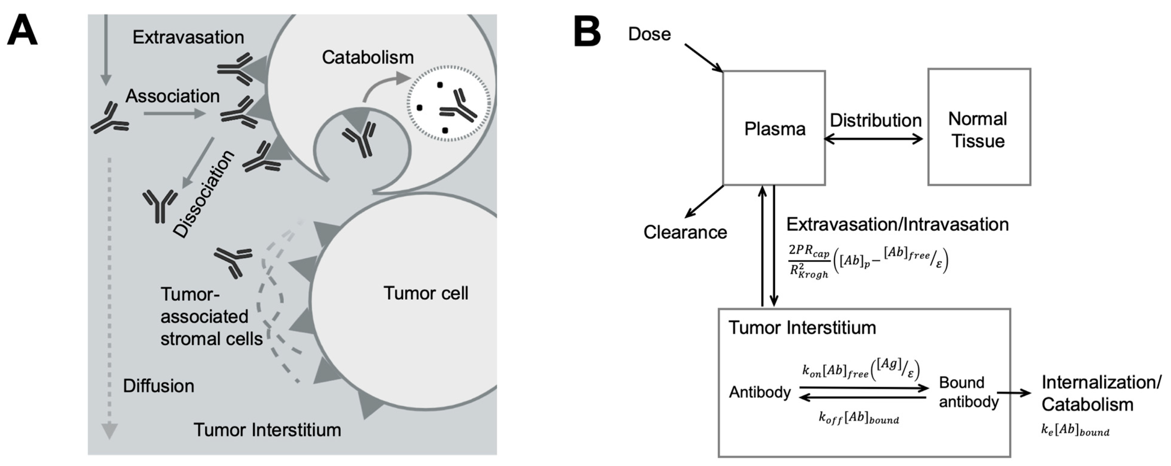Pharmaceutics 13 00422 g003 Pharmaceutics 13 00422 g003