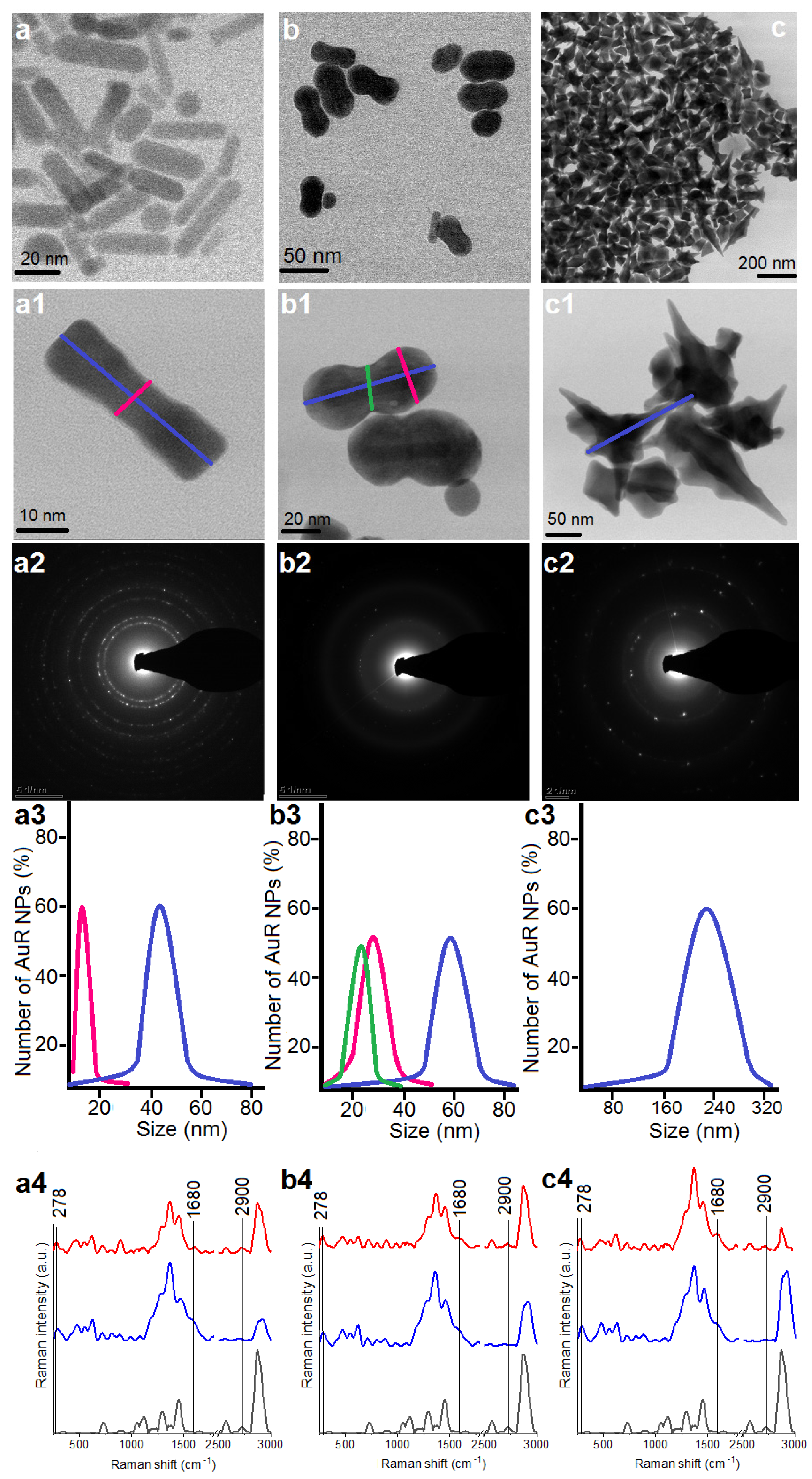 Pharmaceutics 13 00425 g001