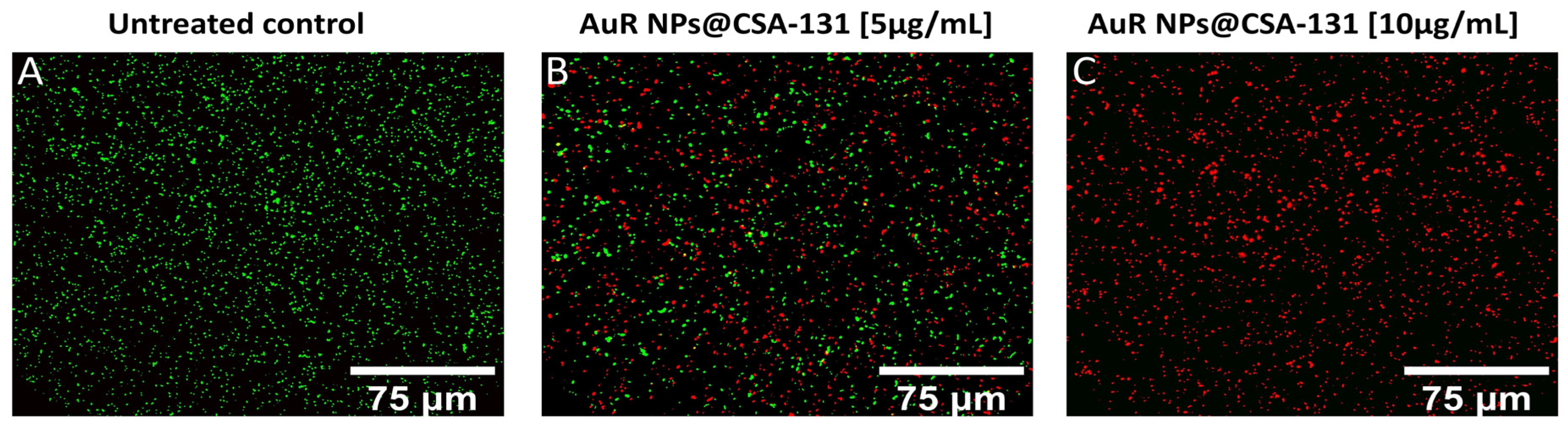 Pharmaceutics 13 00425 g006