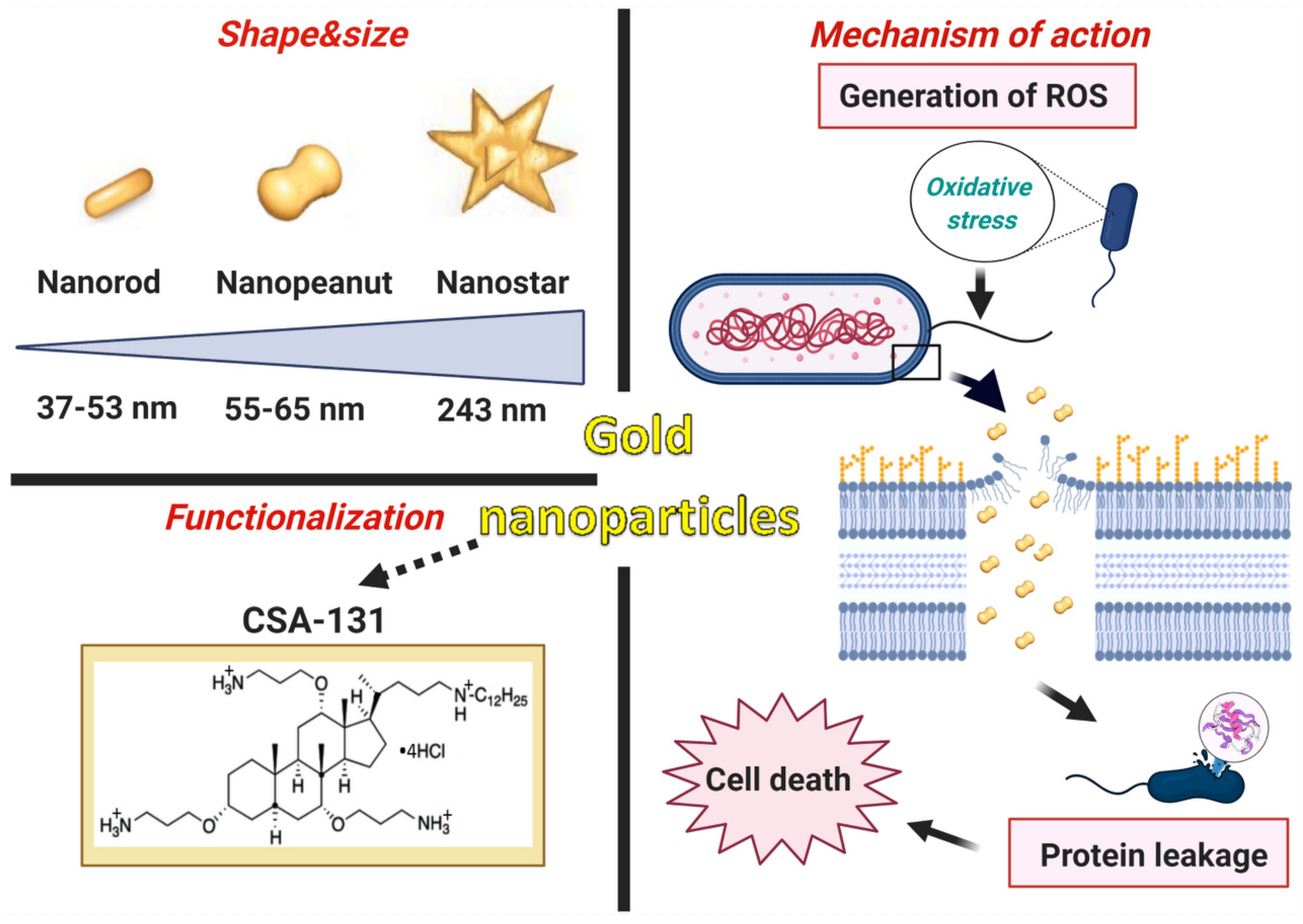 Pharmaceutics 13 00425 g009