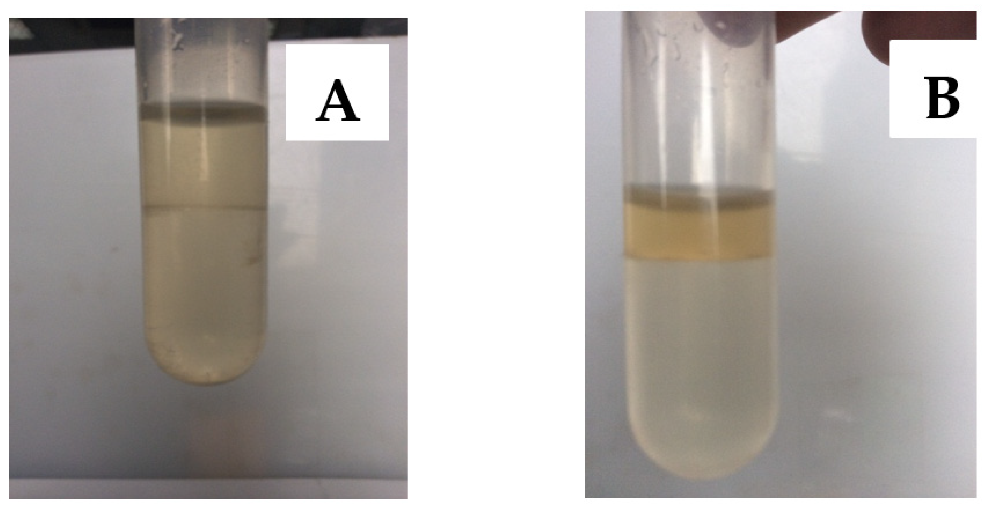 Pharmaceutics 13 00426 g001
