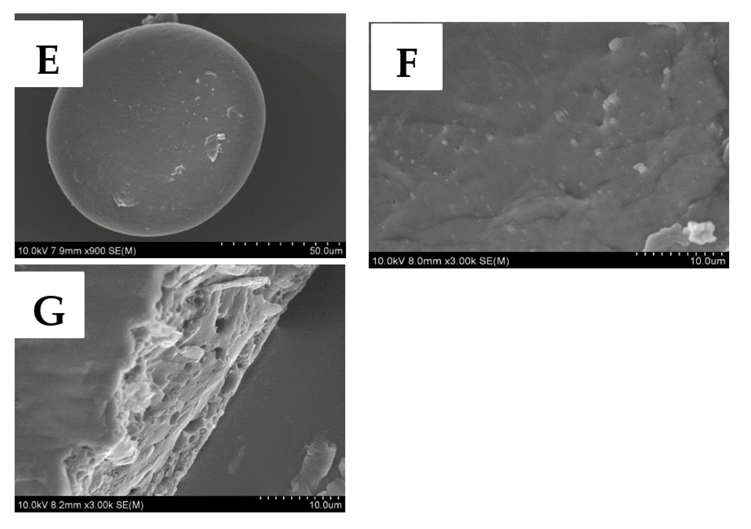 Pharmaceutics 13 00426 g002b