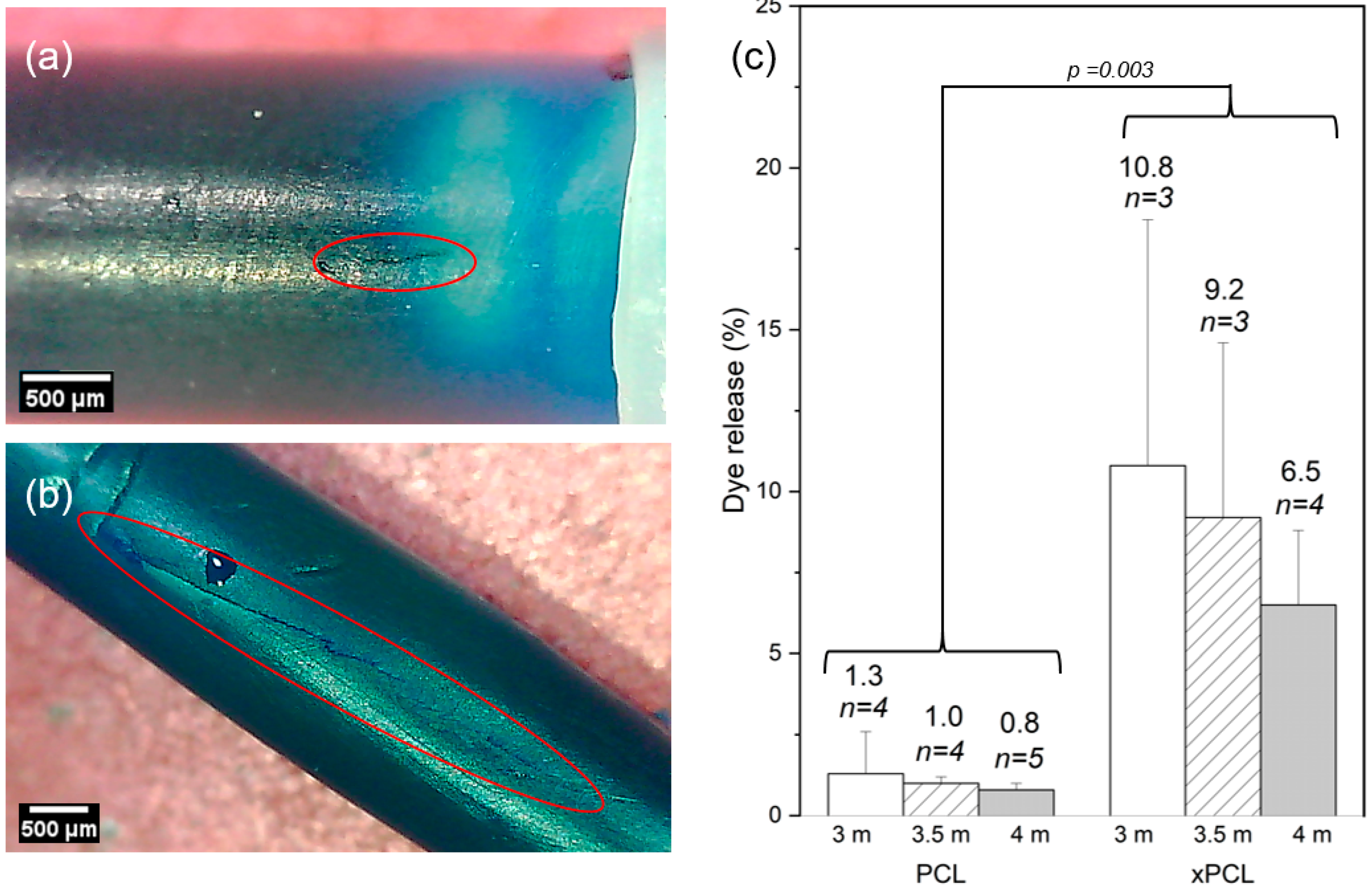 Pharmaceutics 13 00434 g004