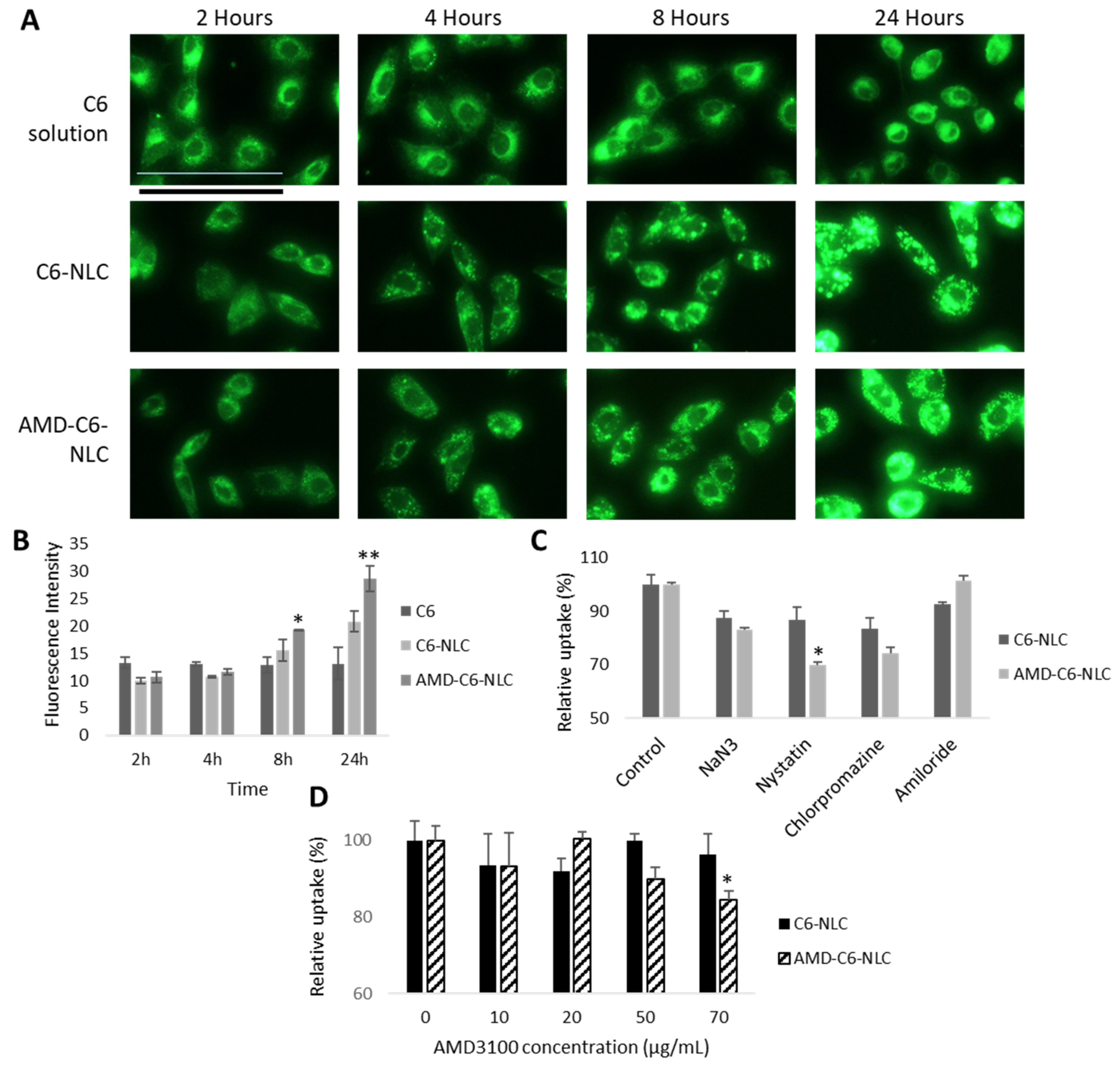 Pharmaceutics 13 00439 g004
