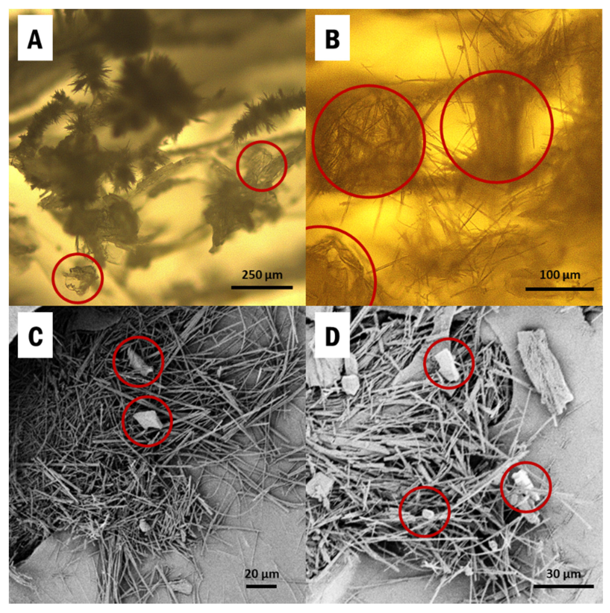 Pharmaceutics 13 00441 g001