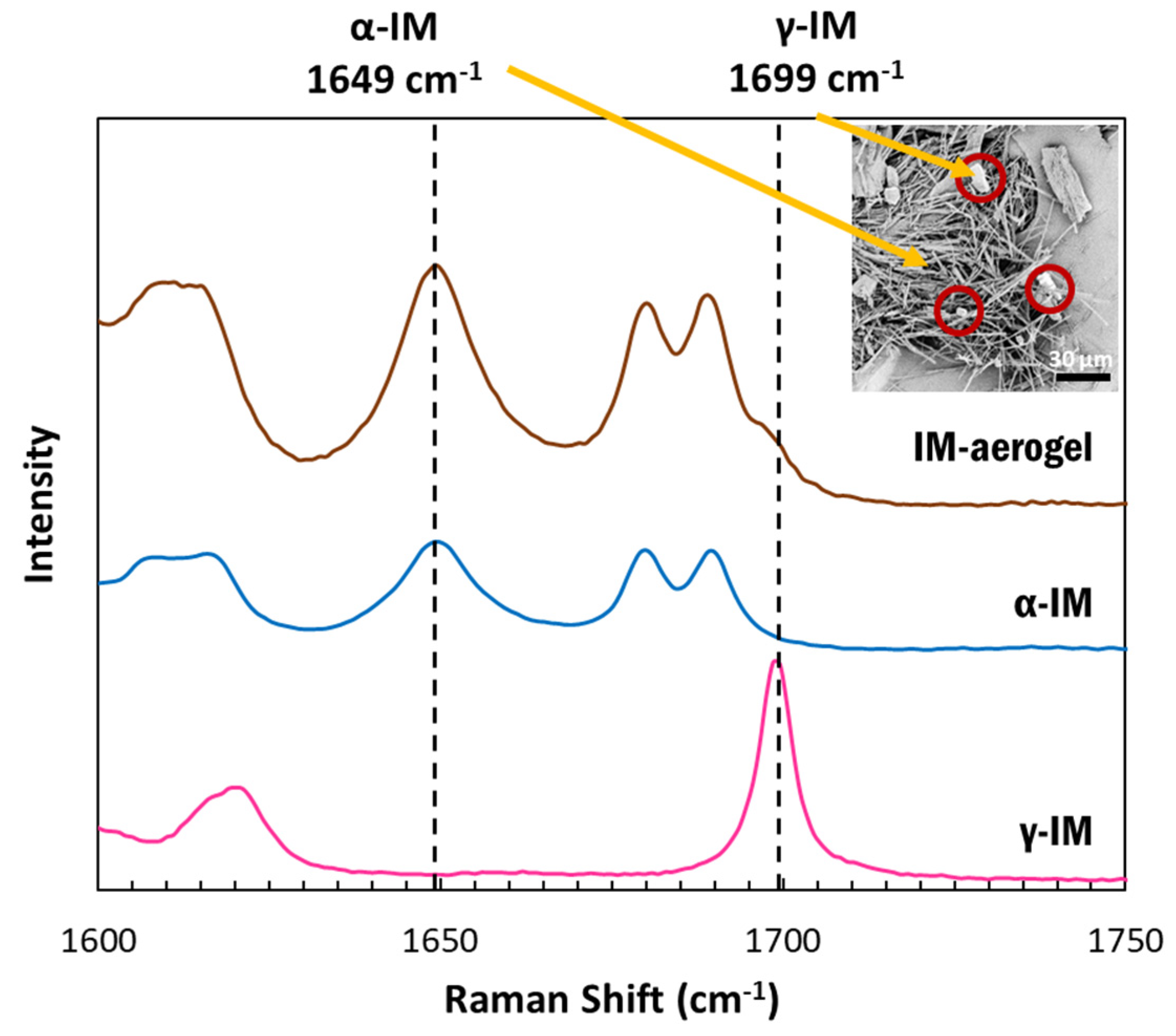 Pharmaceutics 13 00441 g002