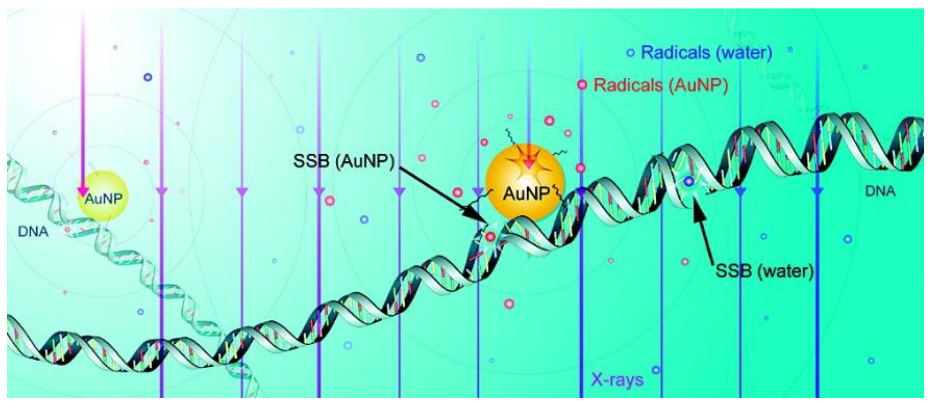 Pharmaceutics 13 00442 g004