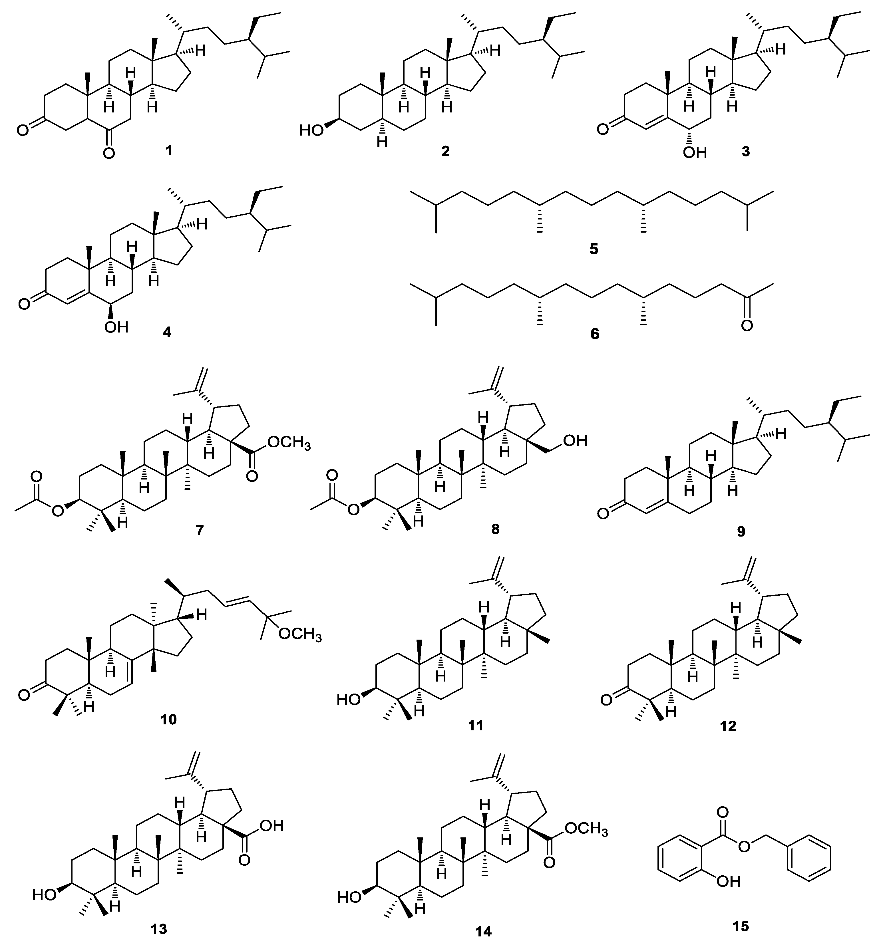 Pharmaceutics 13 00443 g002