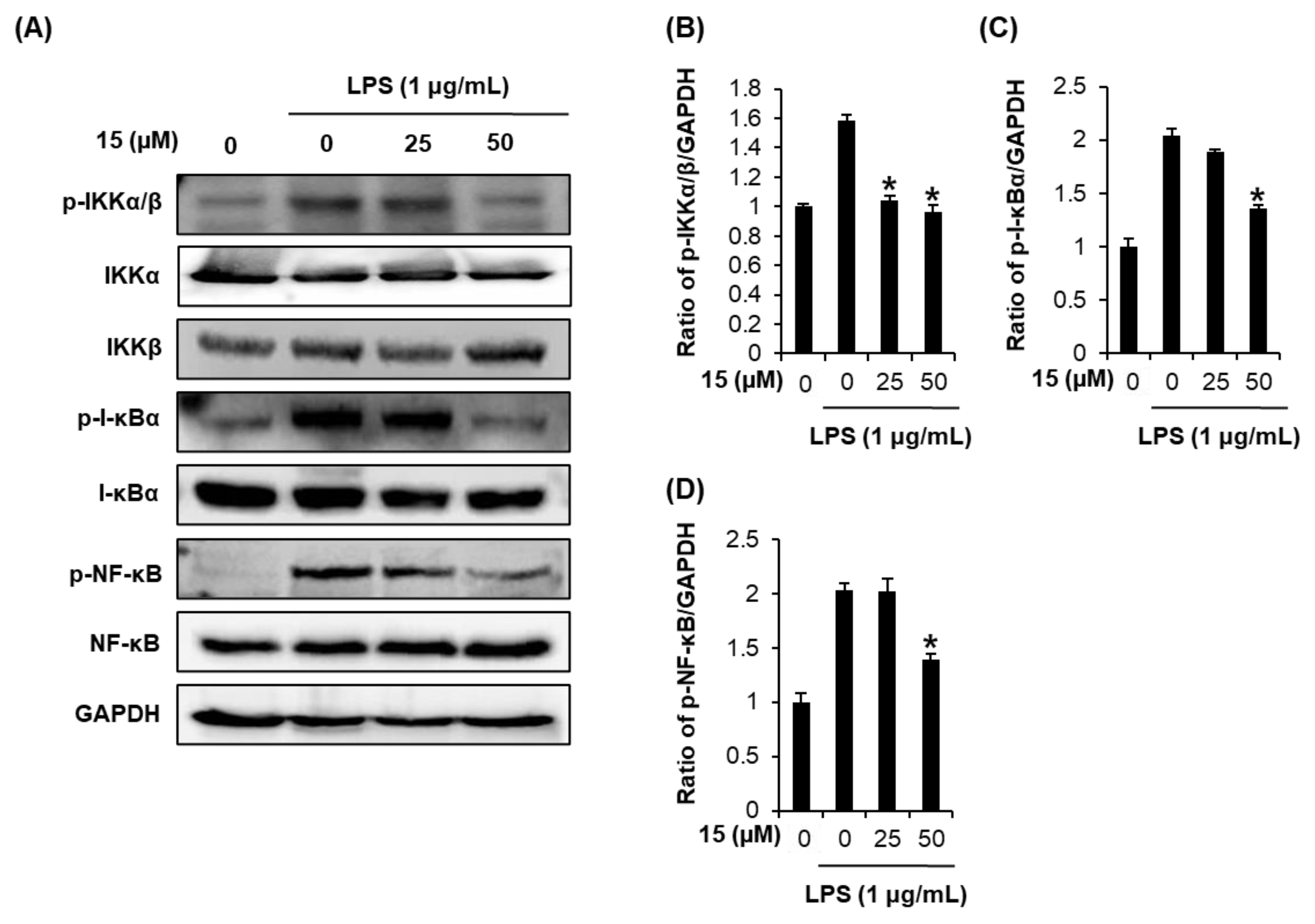 Pharmaceutics 13 00443 g004