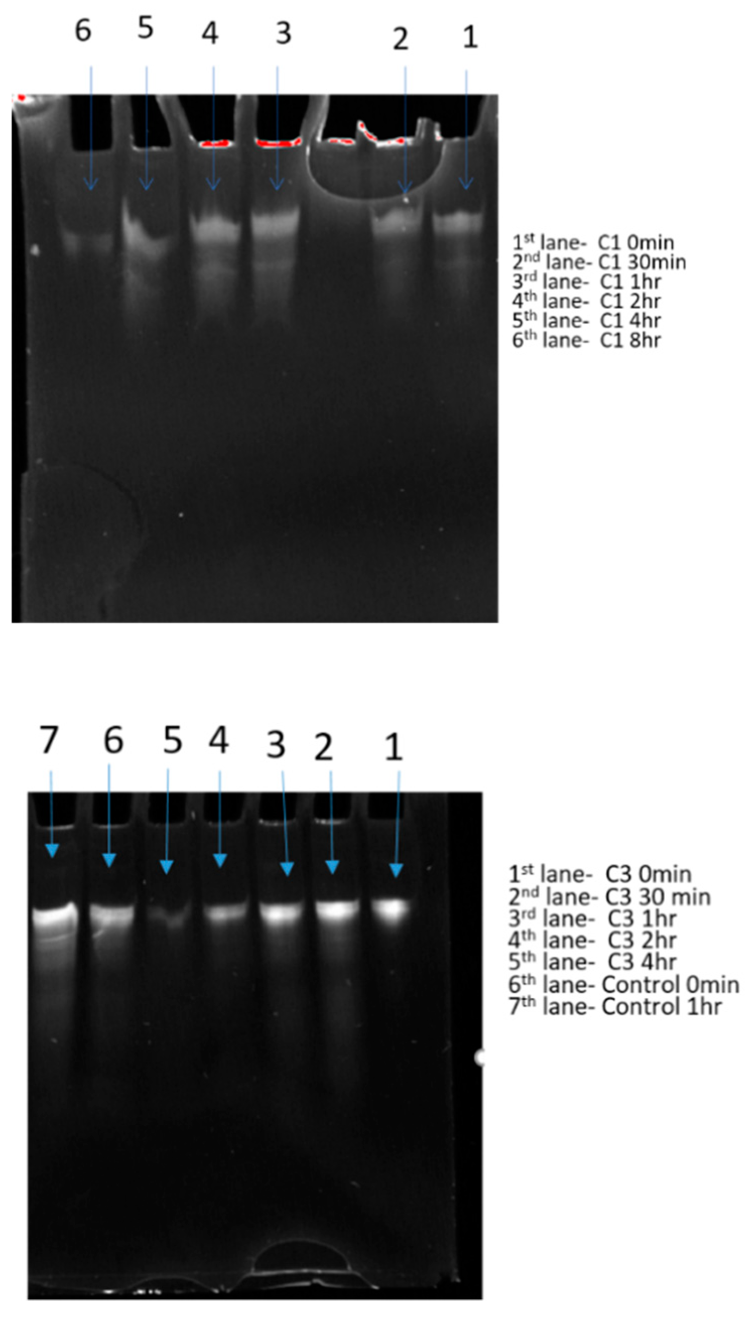 Pharmaceutics 13 00453 g005