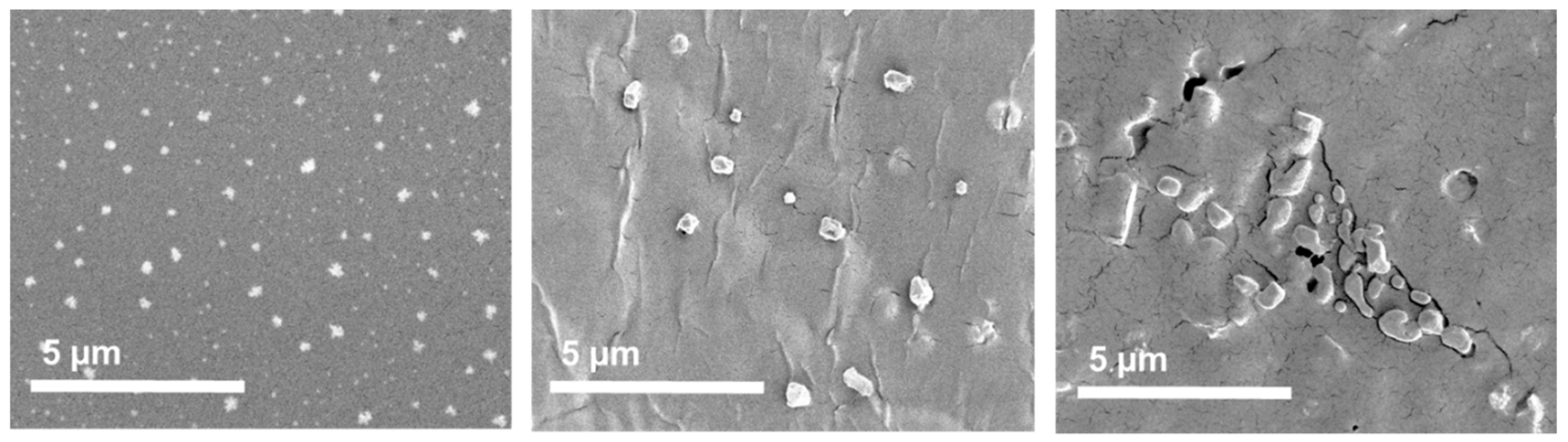 Pharmaceutics 13 00453 g006