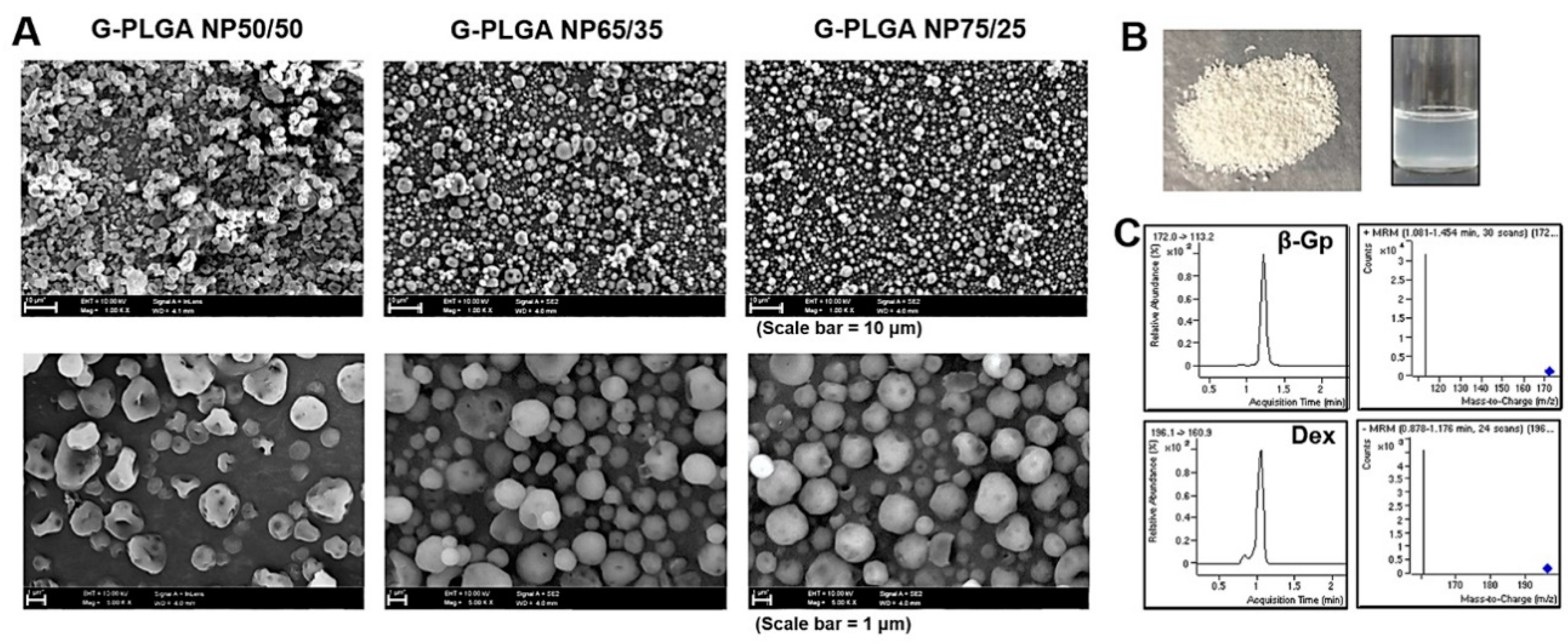 Pharmaceutics 13 00457 g002