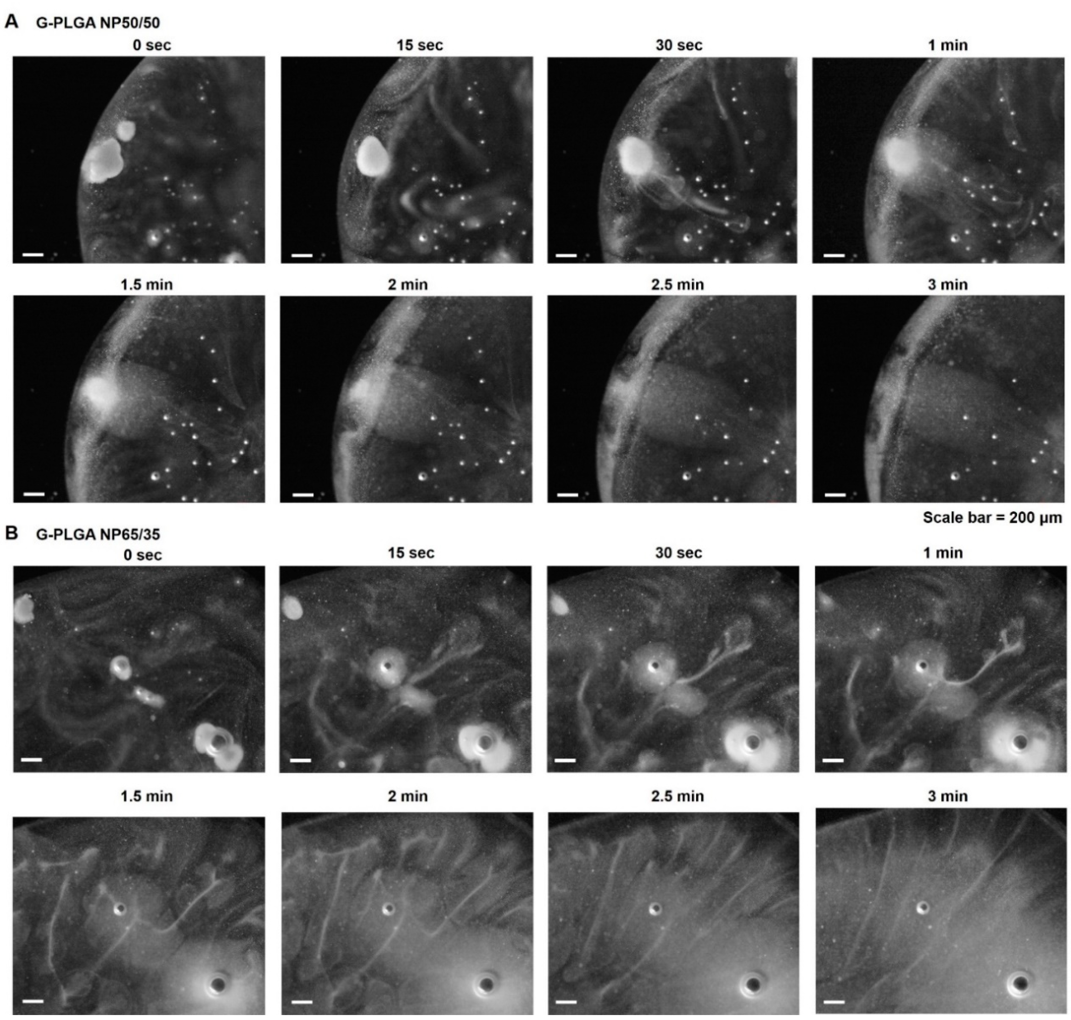 Pharmaceutics 13 00457 g003
