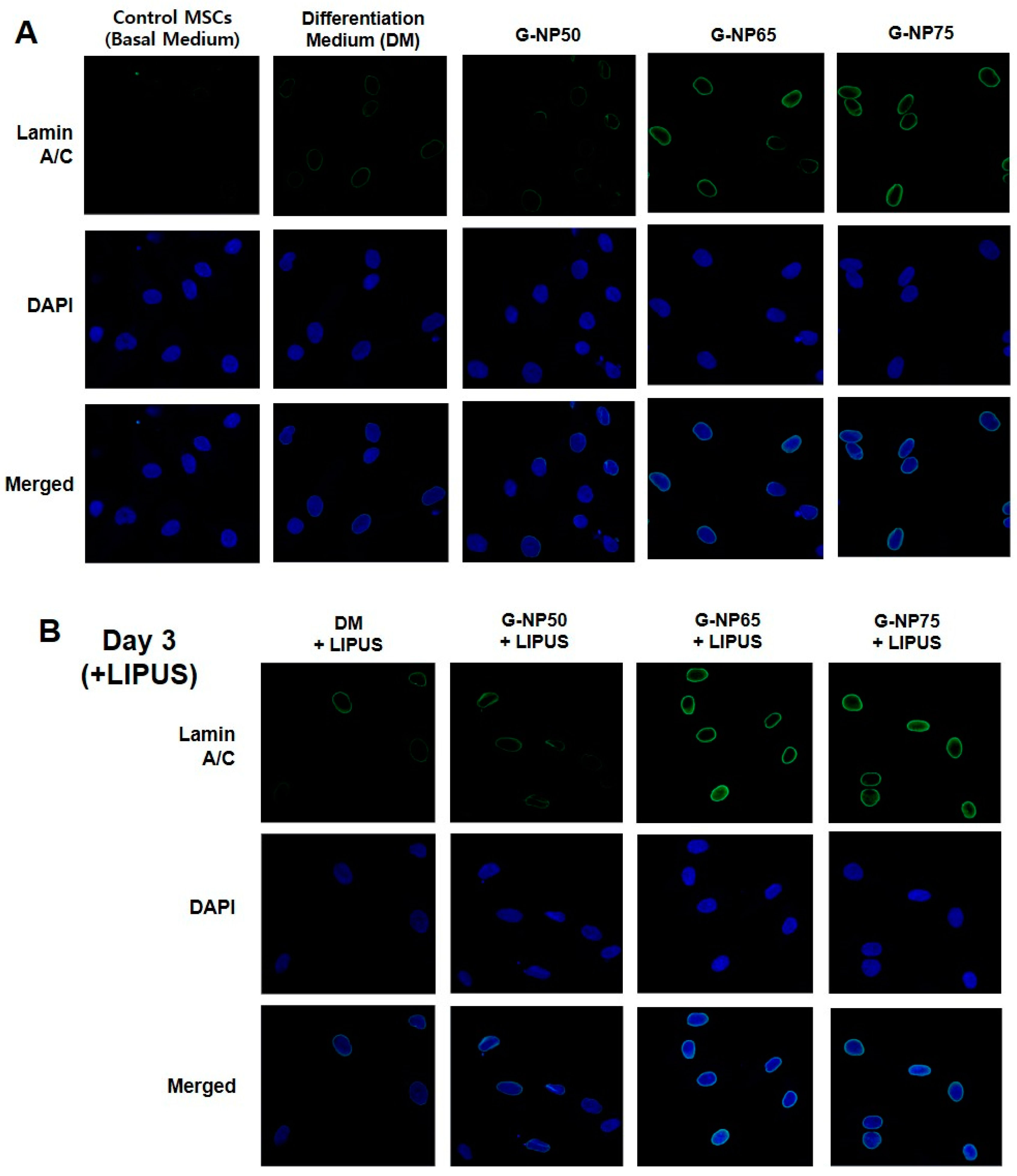 Pharmaceutics 13 00457 g008