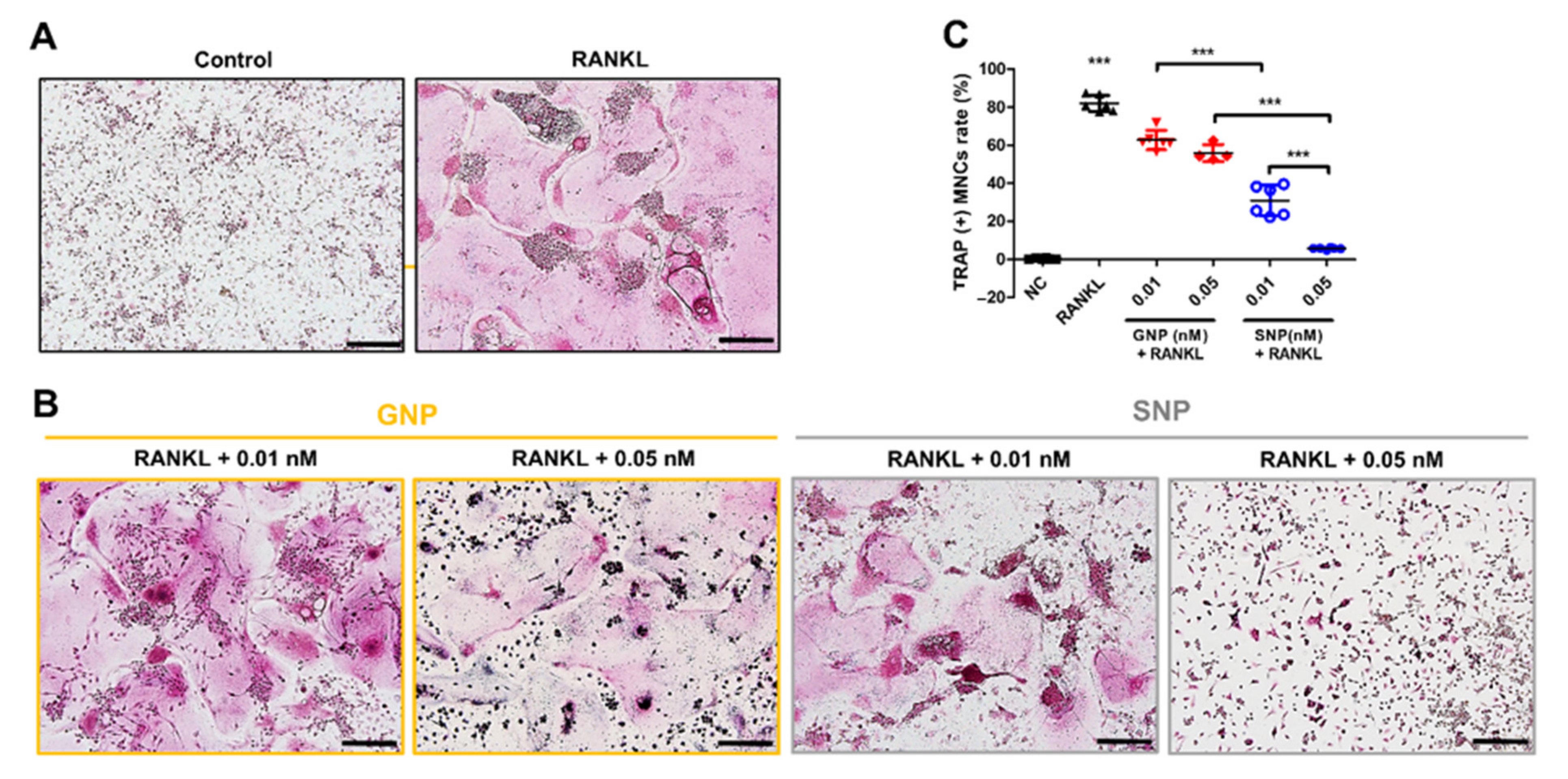 Pharmaceutics 13 00462 g003