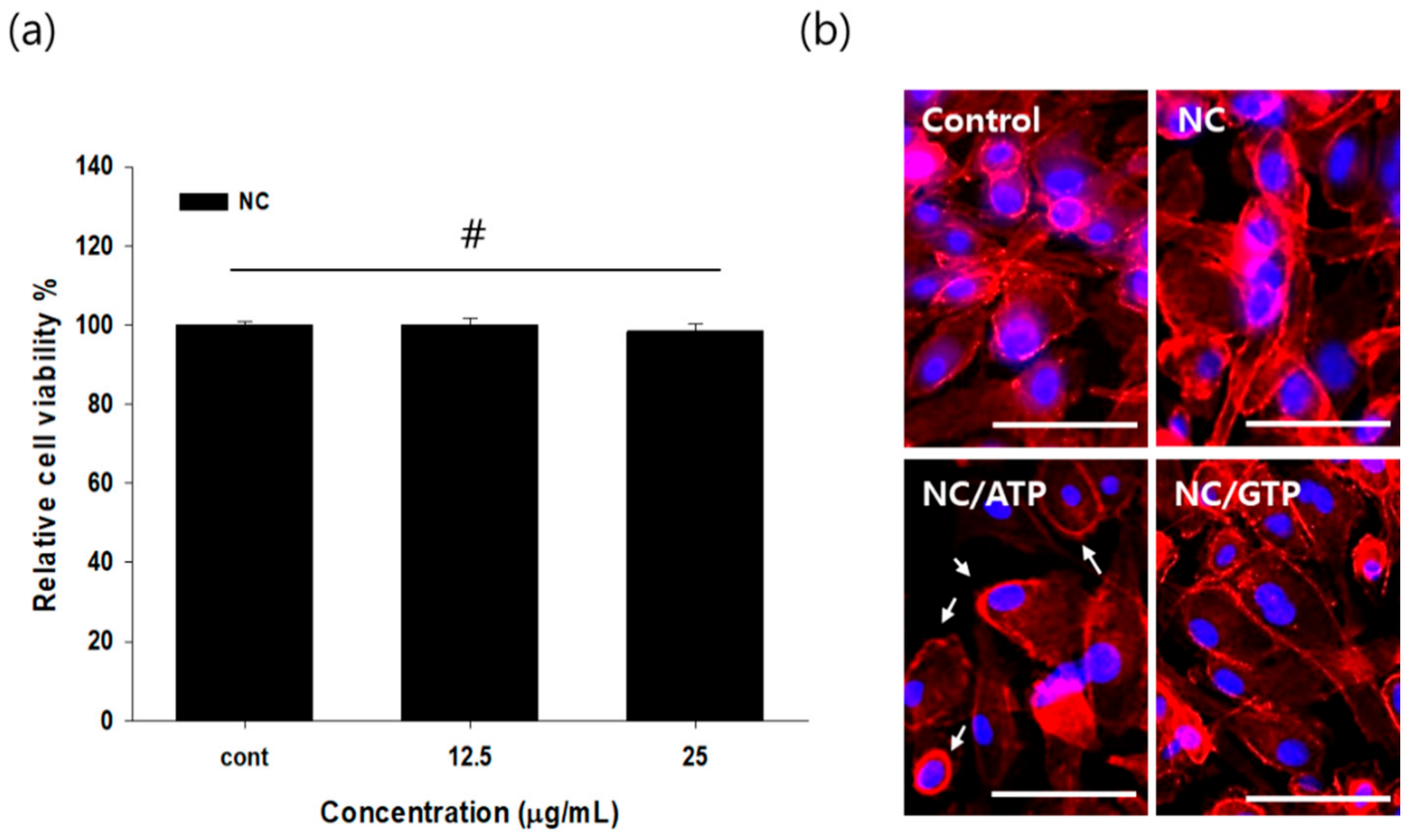 Pharmaceutics 13 00463 g002 Pharmaceutics 13 00463 g002