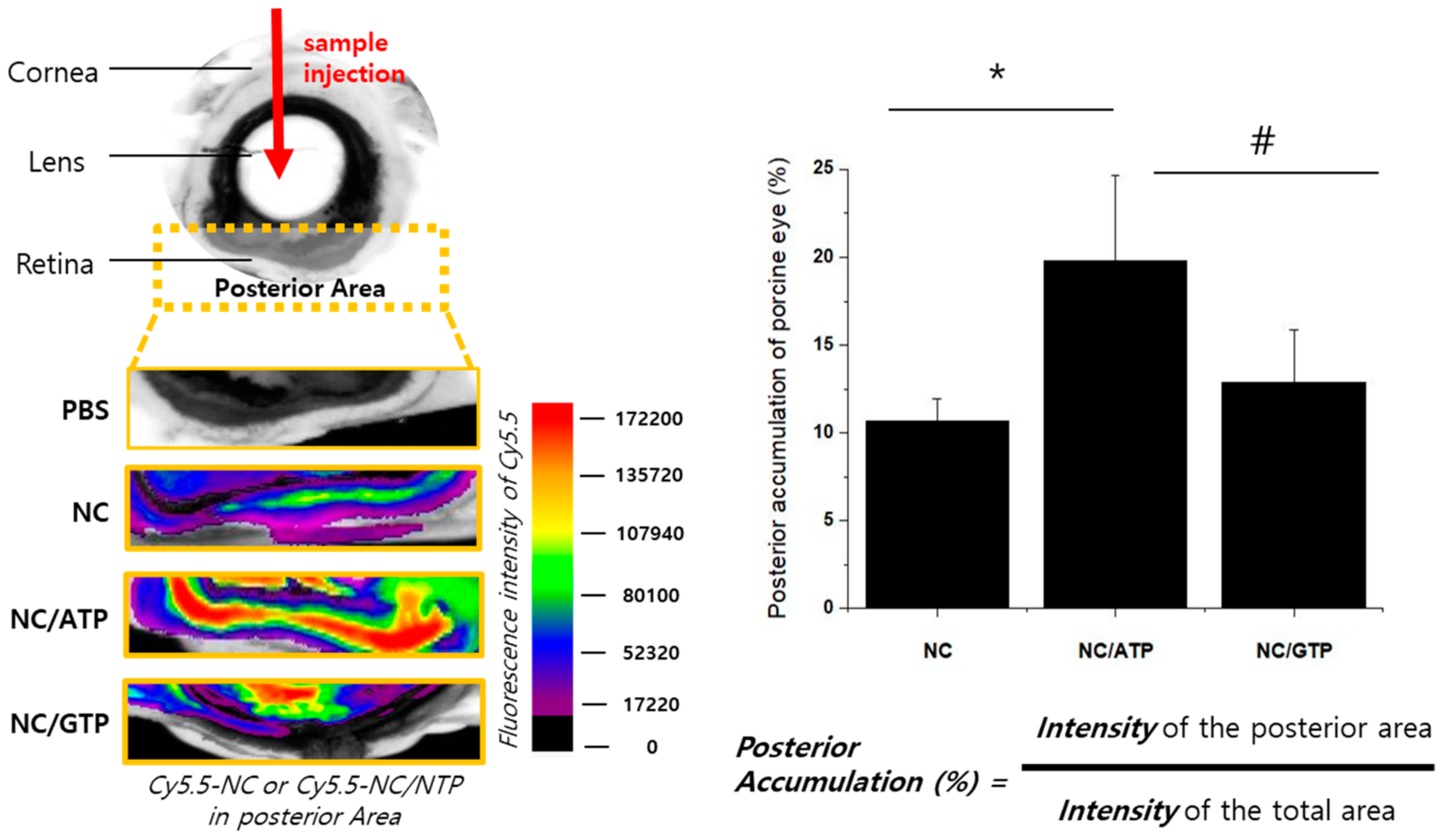 Pharmaceutics 13 00463 g003 Pharmaceutics 13 00463 g003