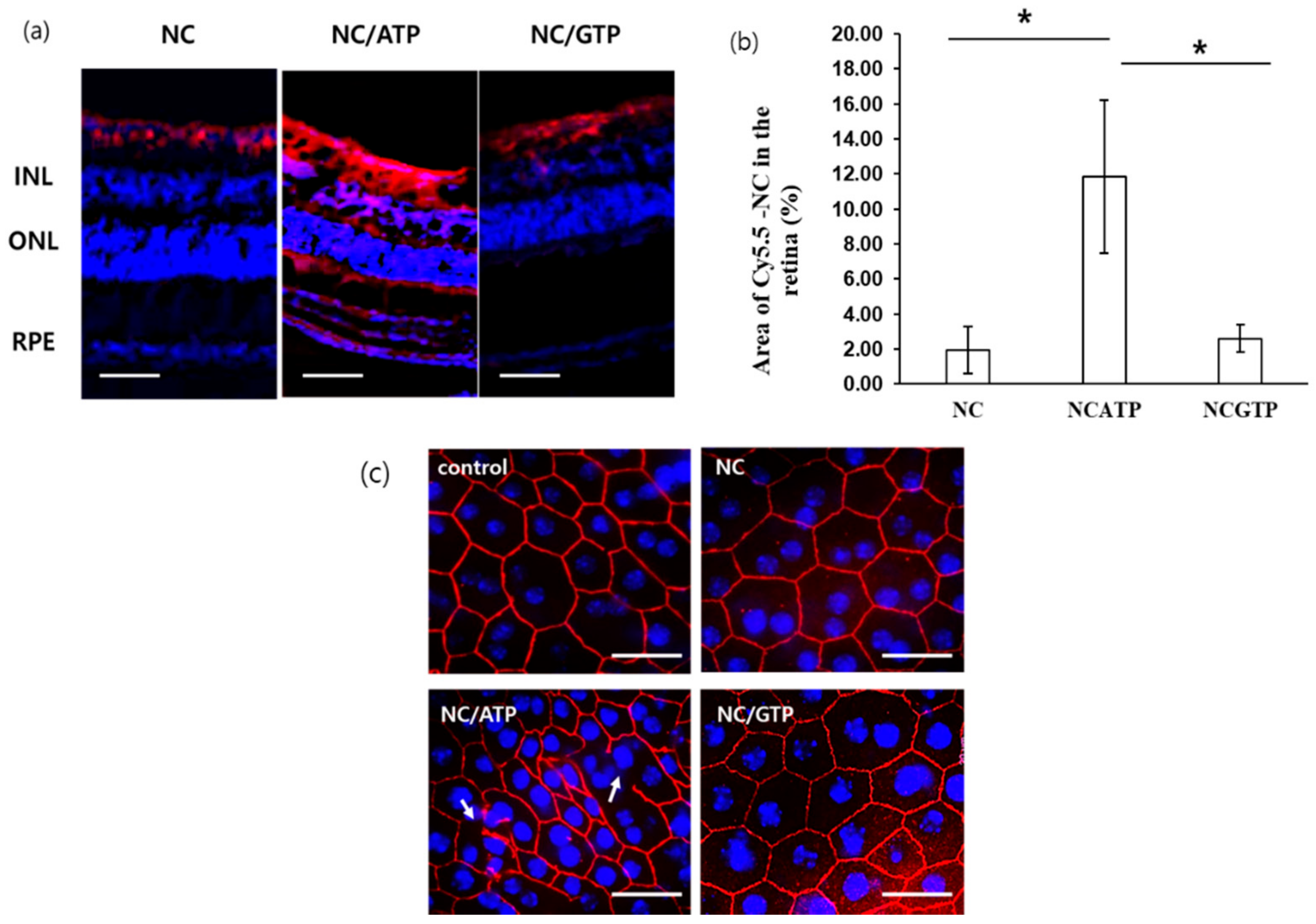 Pharmaceutics 13 00463 g005 Pharmaceutics 13 00463 g005