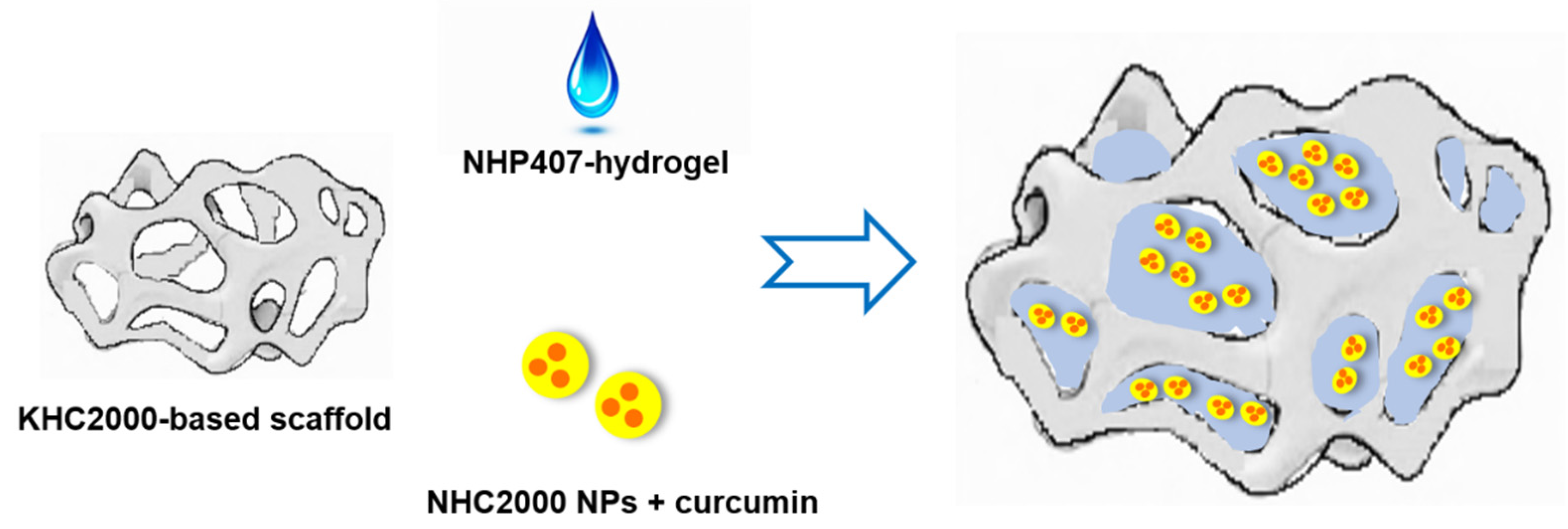Pharmaceutics 13 00464 g001