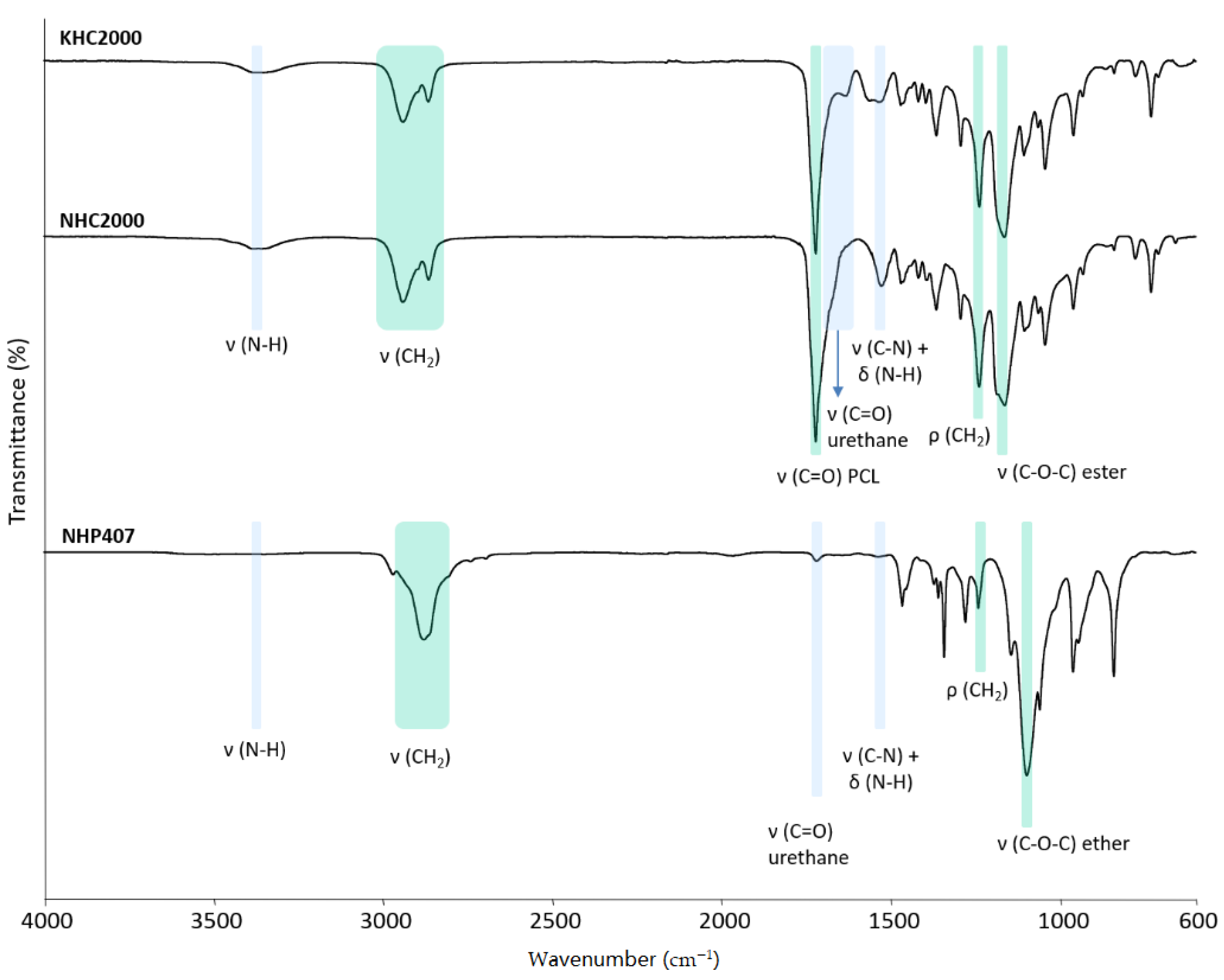 Pharmaceutics 13 00464 g002