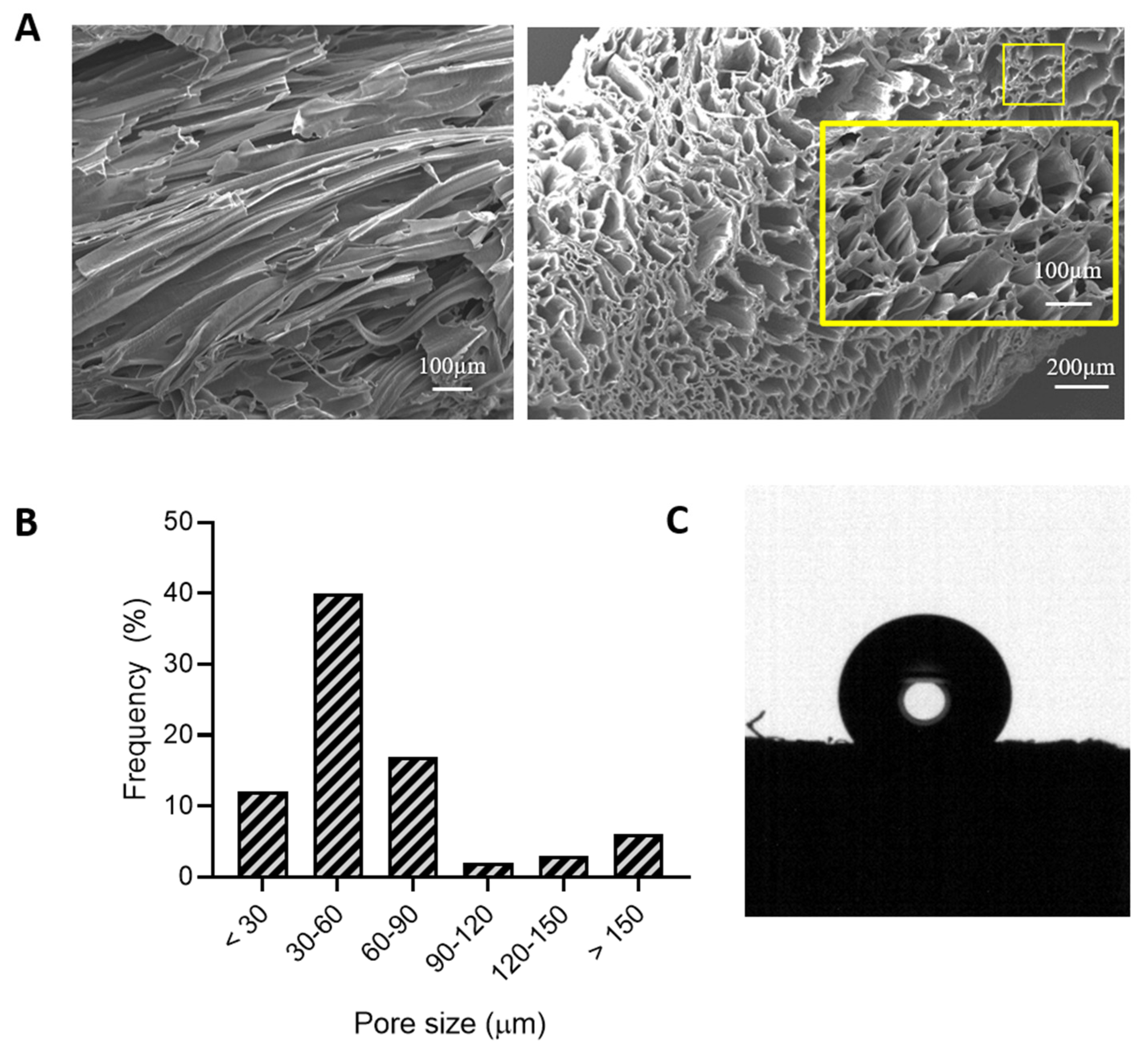 Pharmaceutics 13 00464 g003