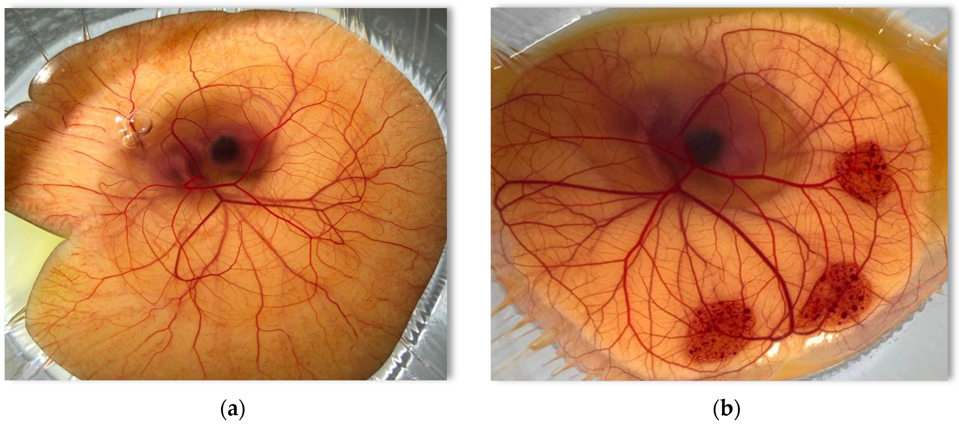 Pharmaceutics 13 00467 g003