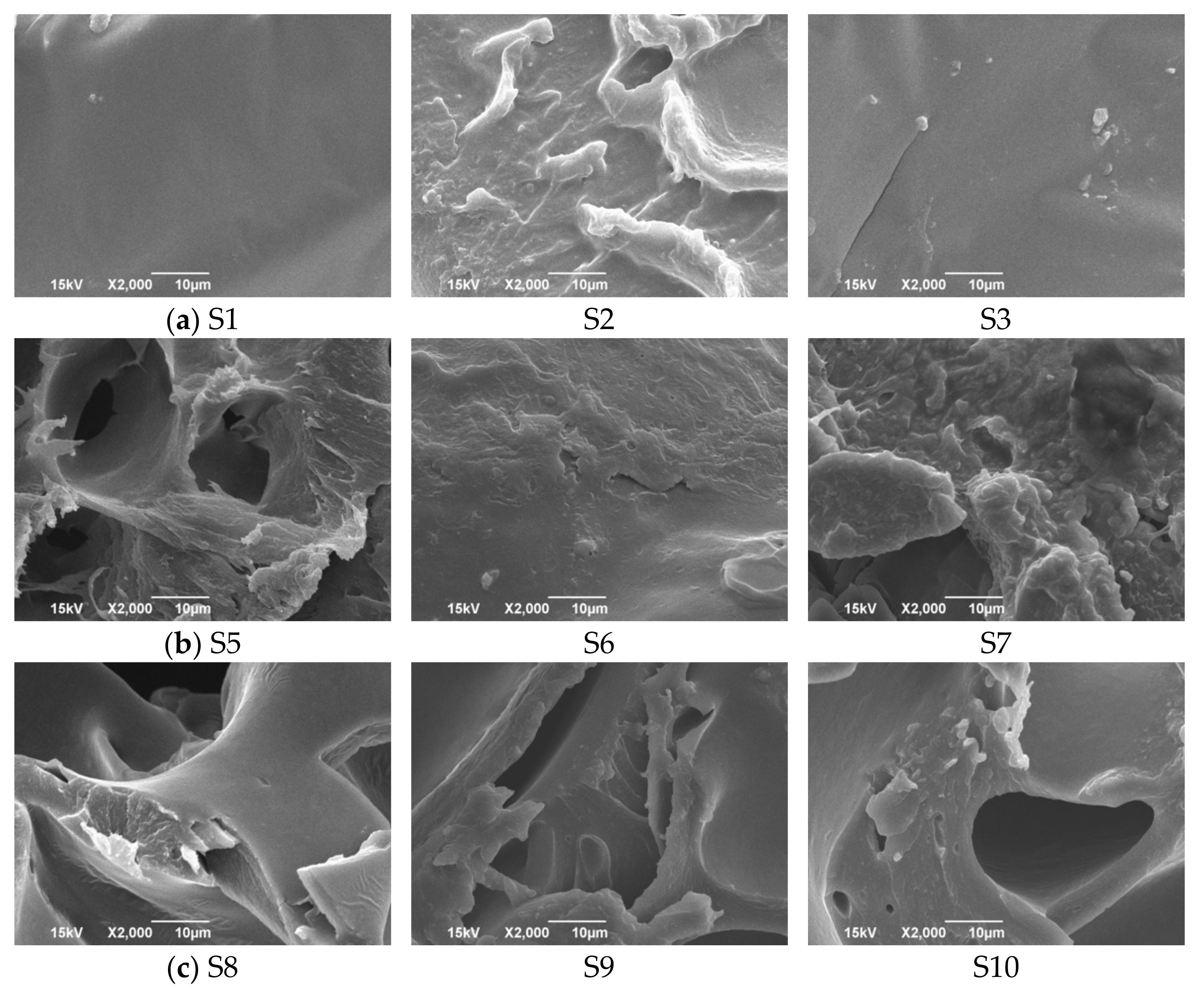 Pharmaceutics 13 00468 g002