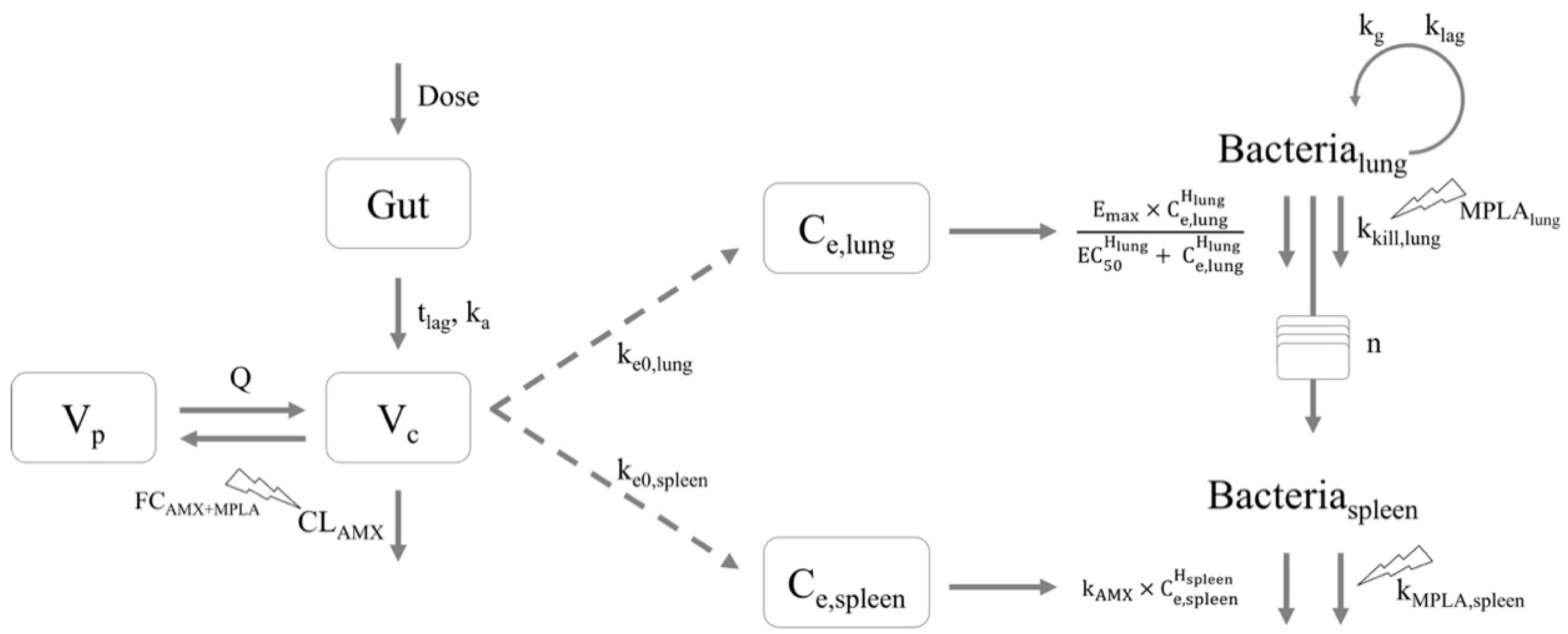 Pharmaceutics 13 00469 g001 Pharmaceutics 13 00469 g001