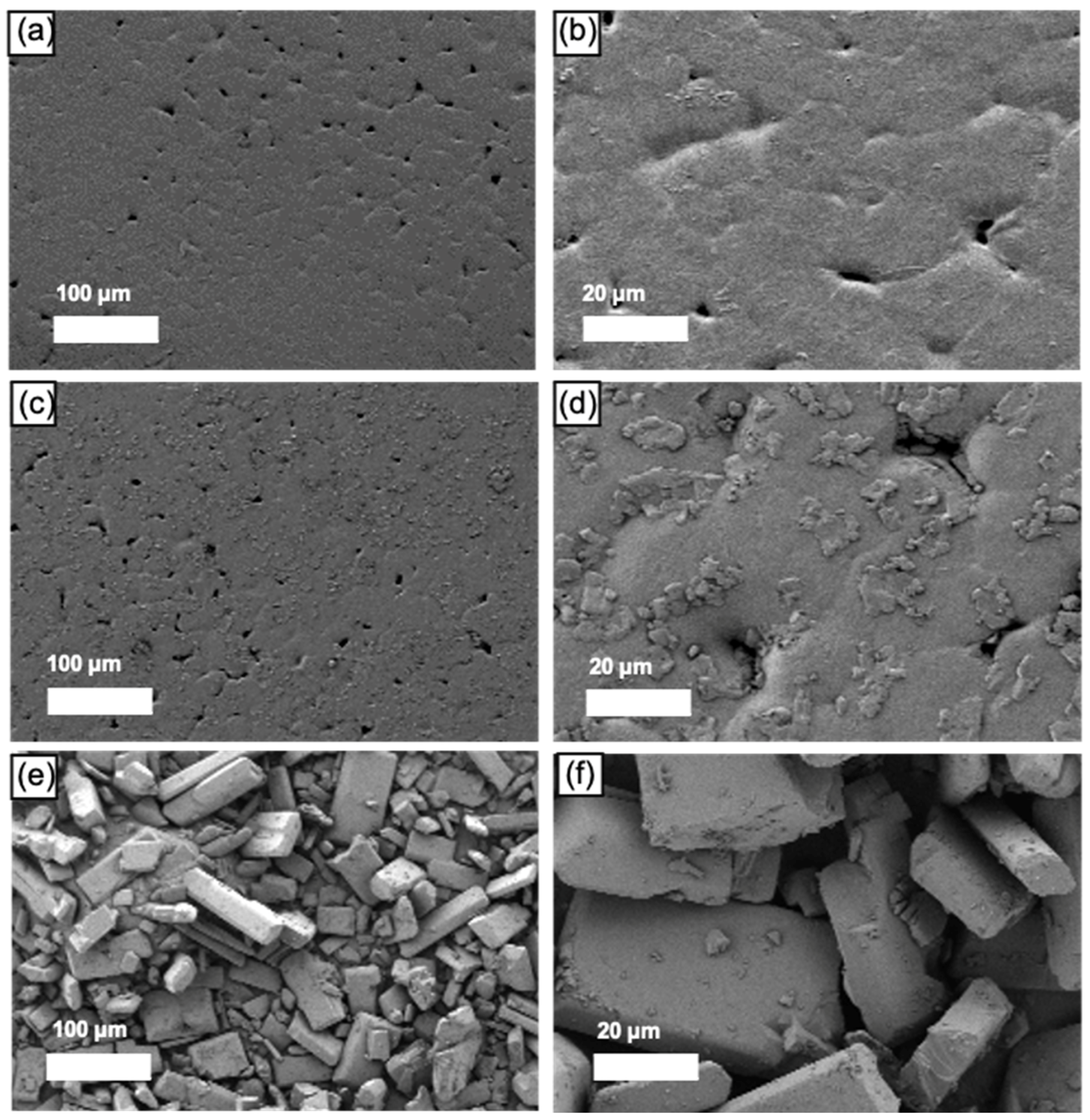 Pharmaceutics 13 00471 g004