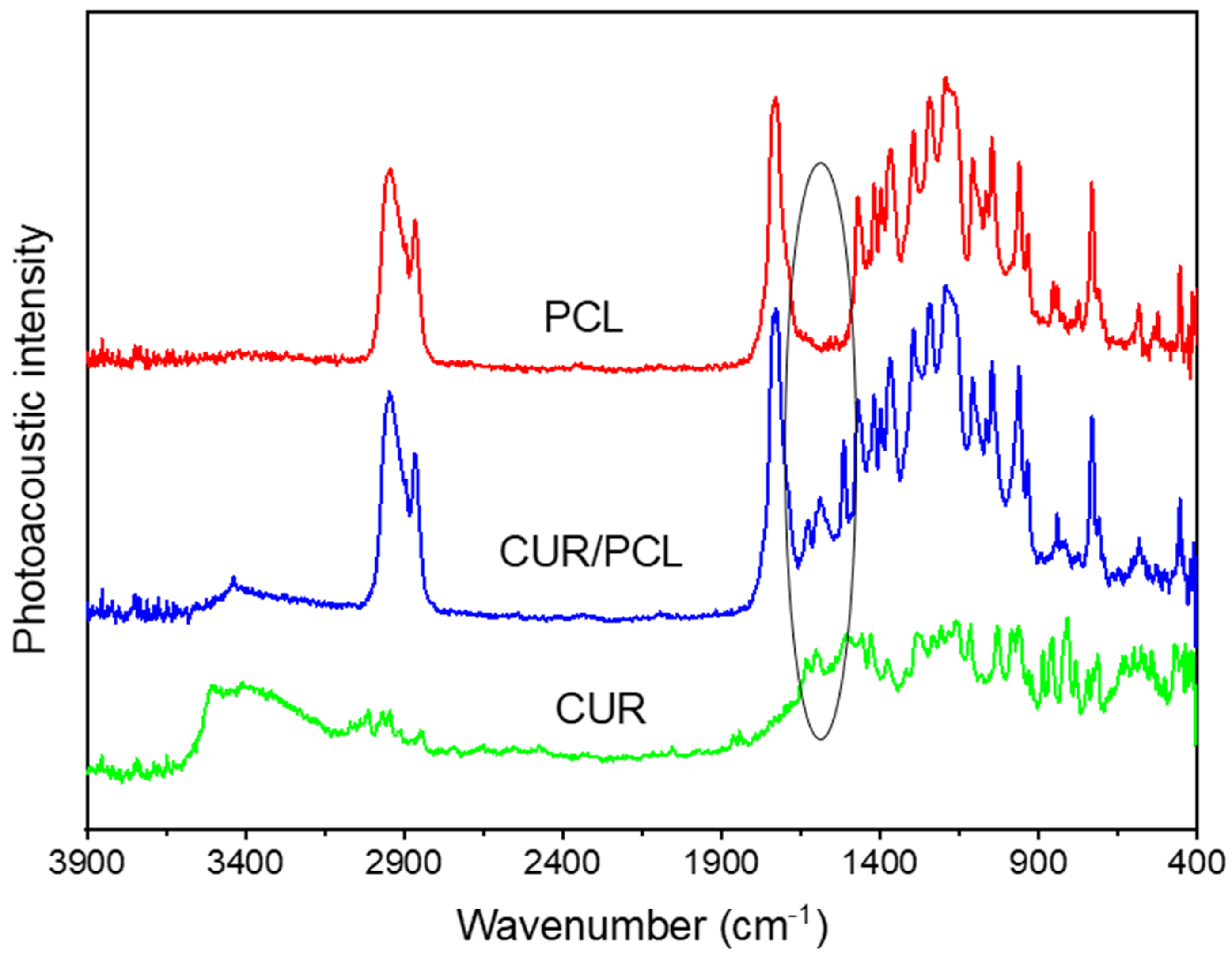 Pharmaceutics 13 00471 g005